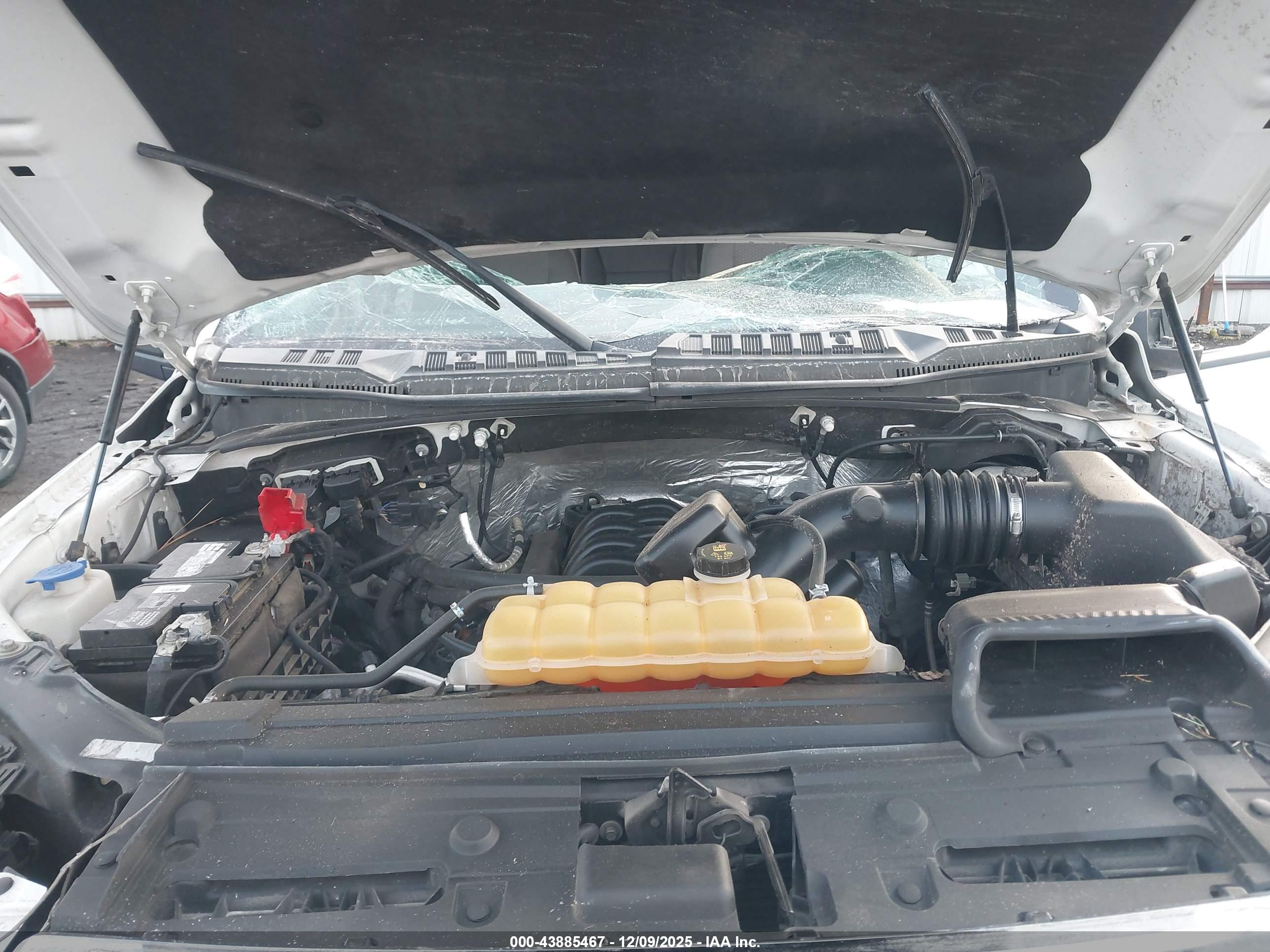 FORD F-150 image 10