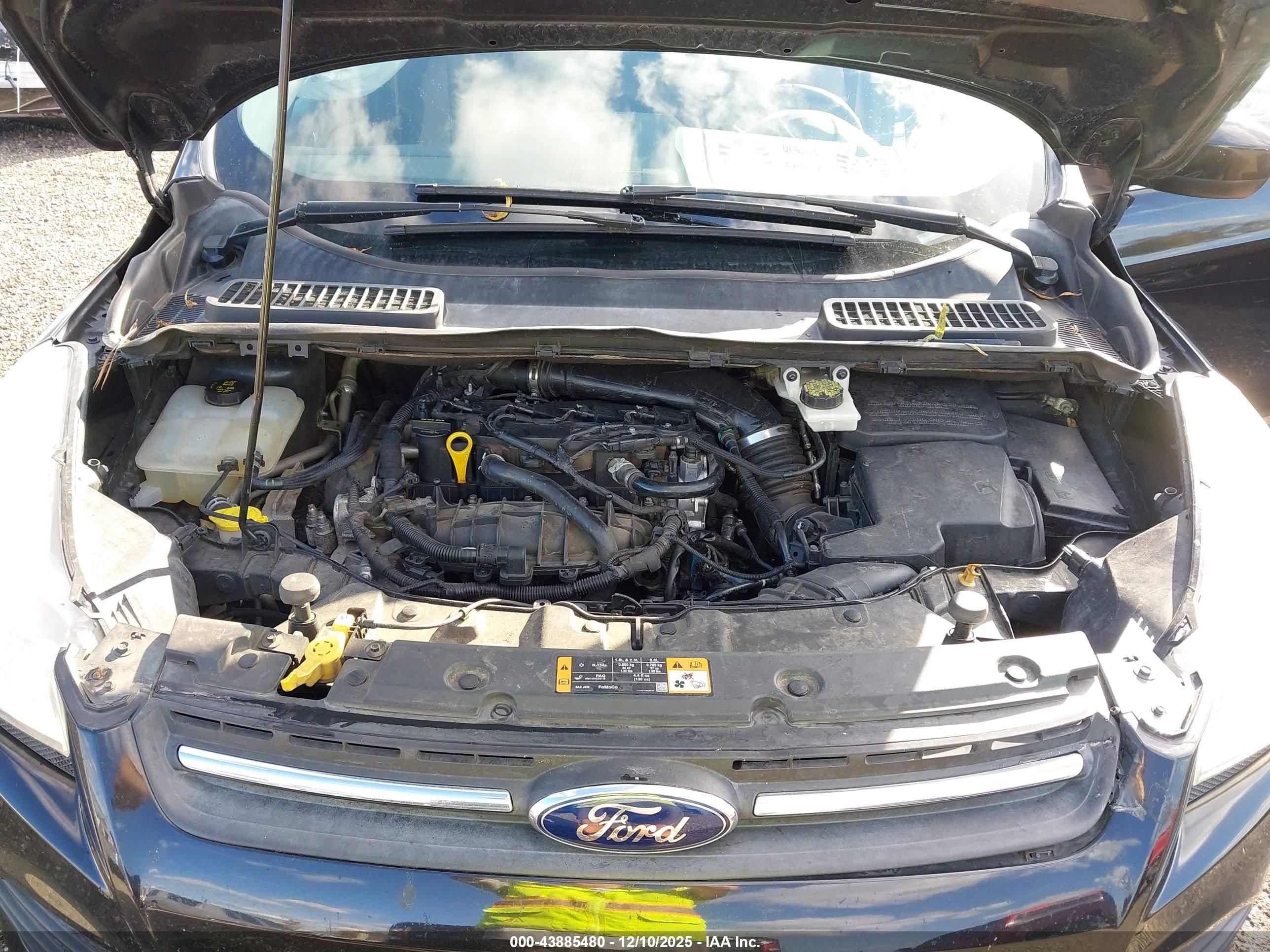FORD ESCAPE image 10