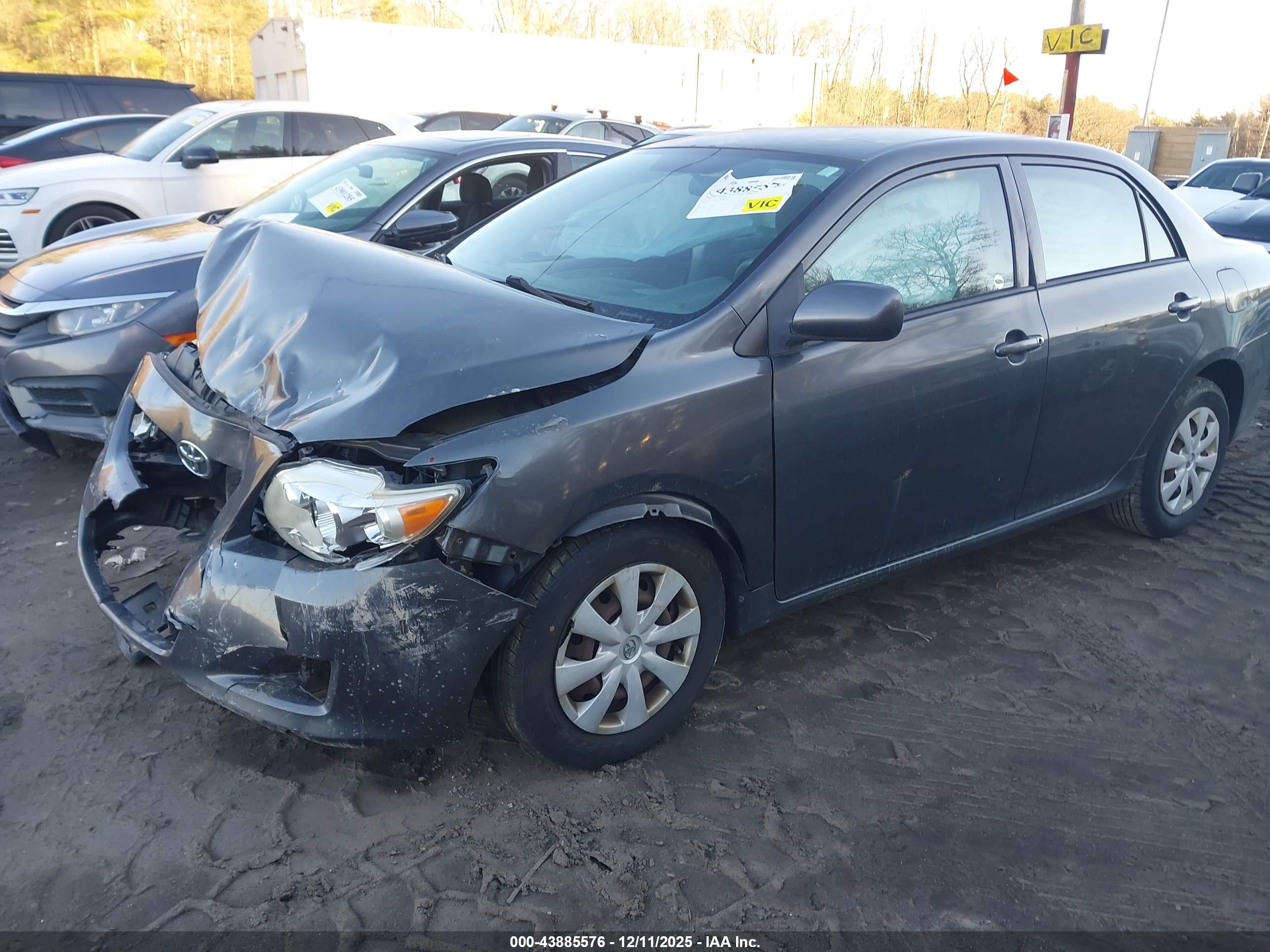 TOYOTA COROLLA image 2