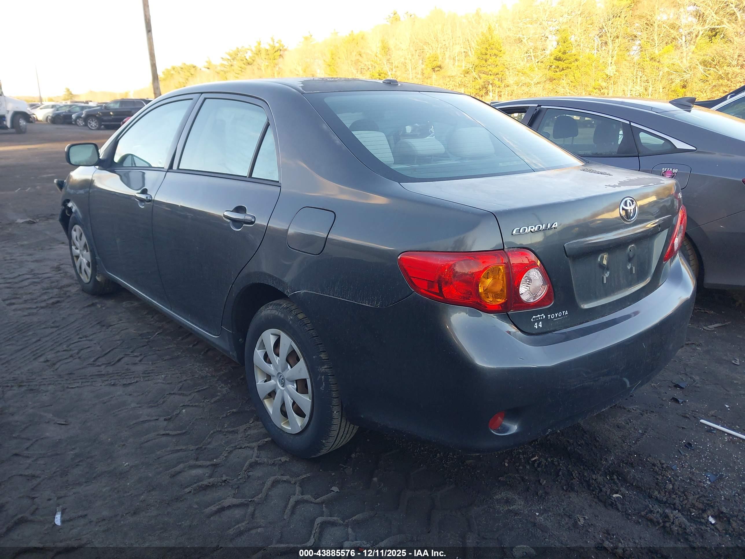 TOYOTA COROLLA image 3