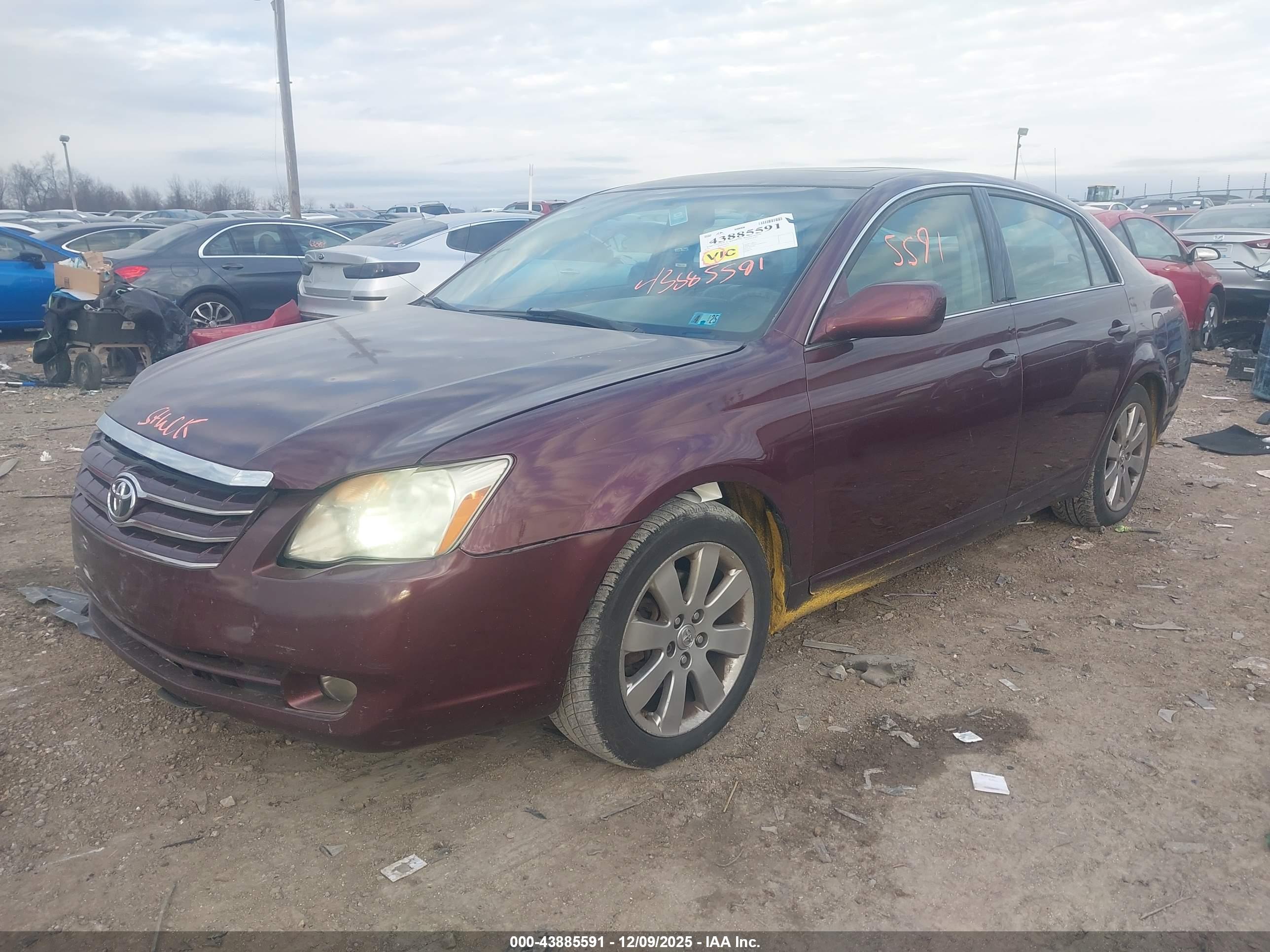 TOYOTA AVALON image 2