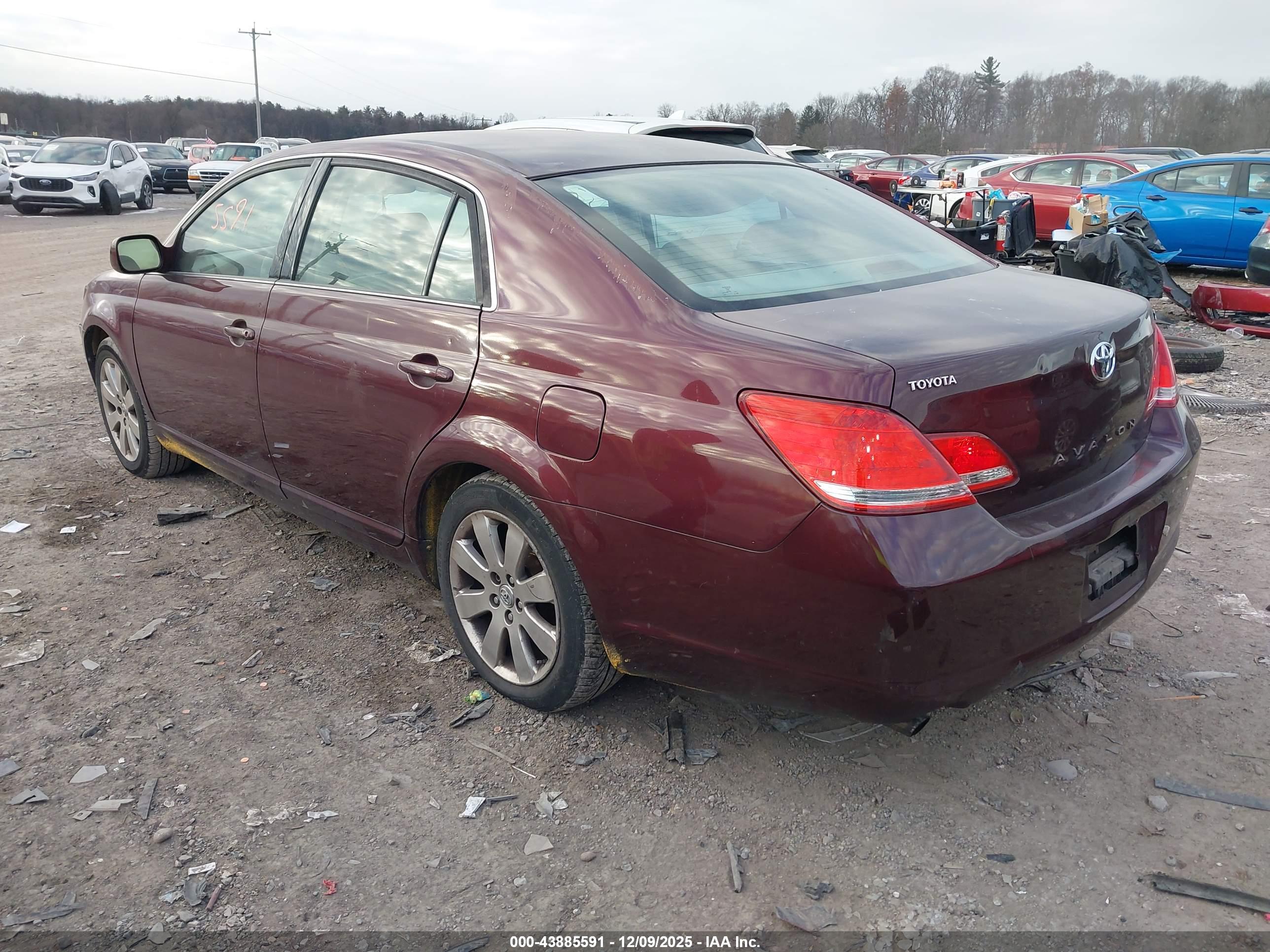 TOYOTA AVALON image 3