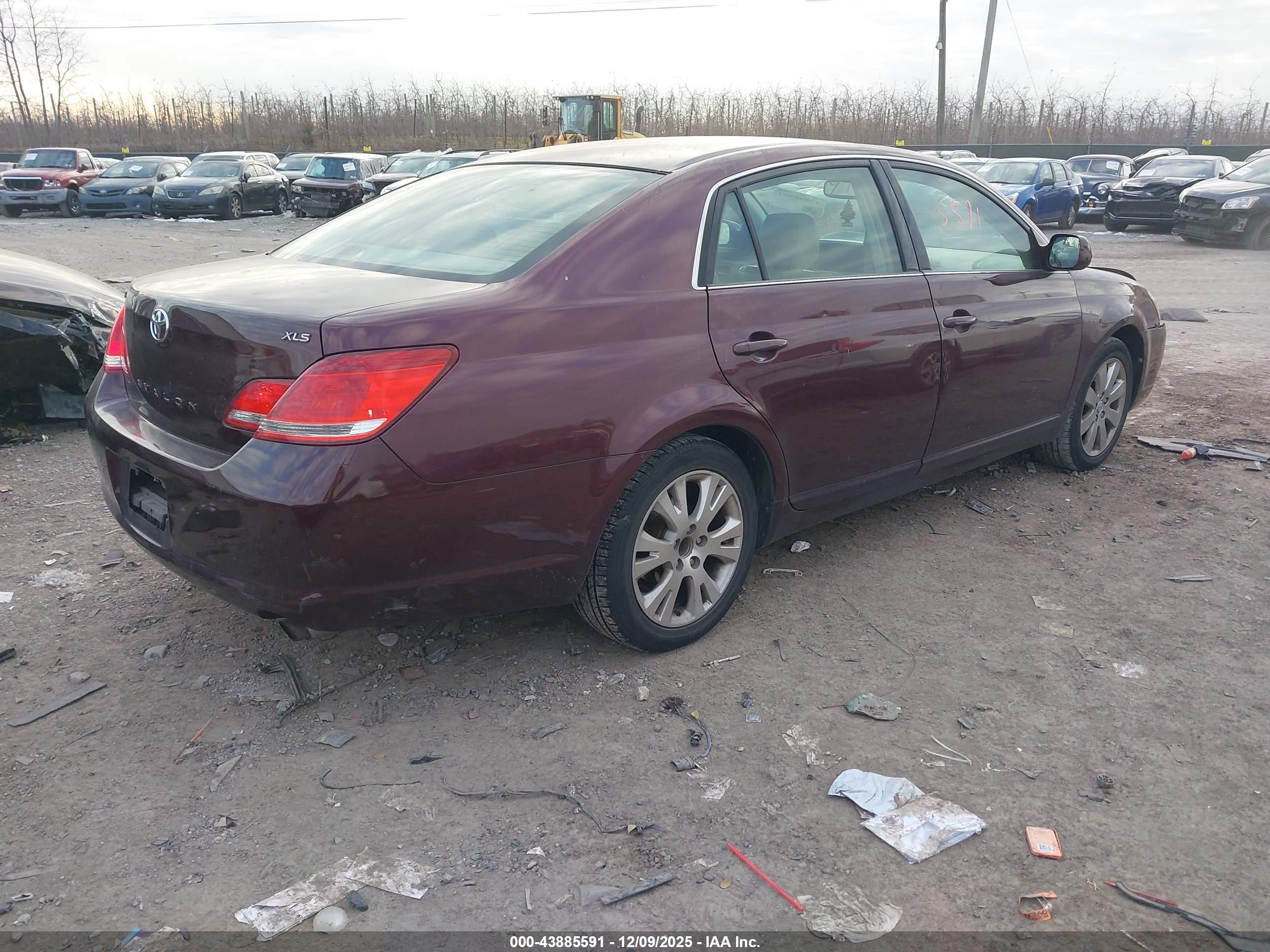 TOYOTA AVALON image 4