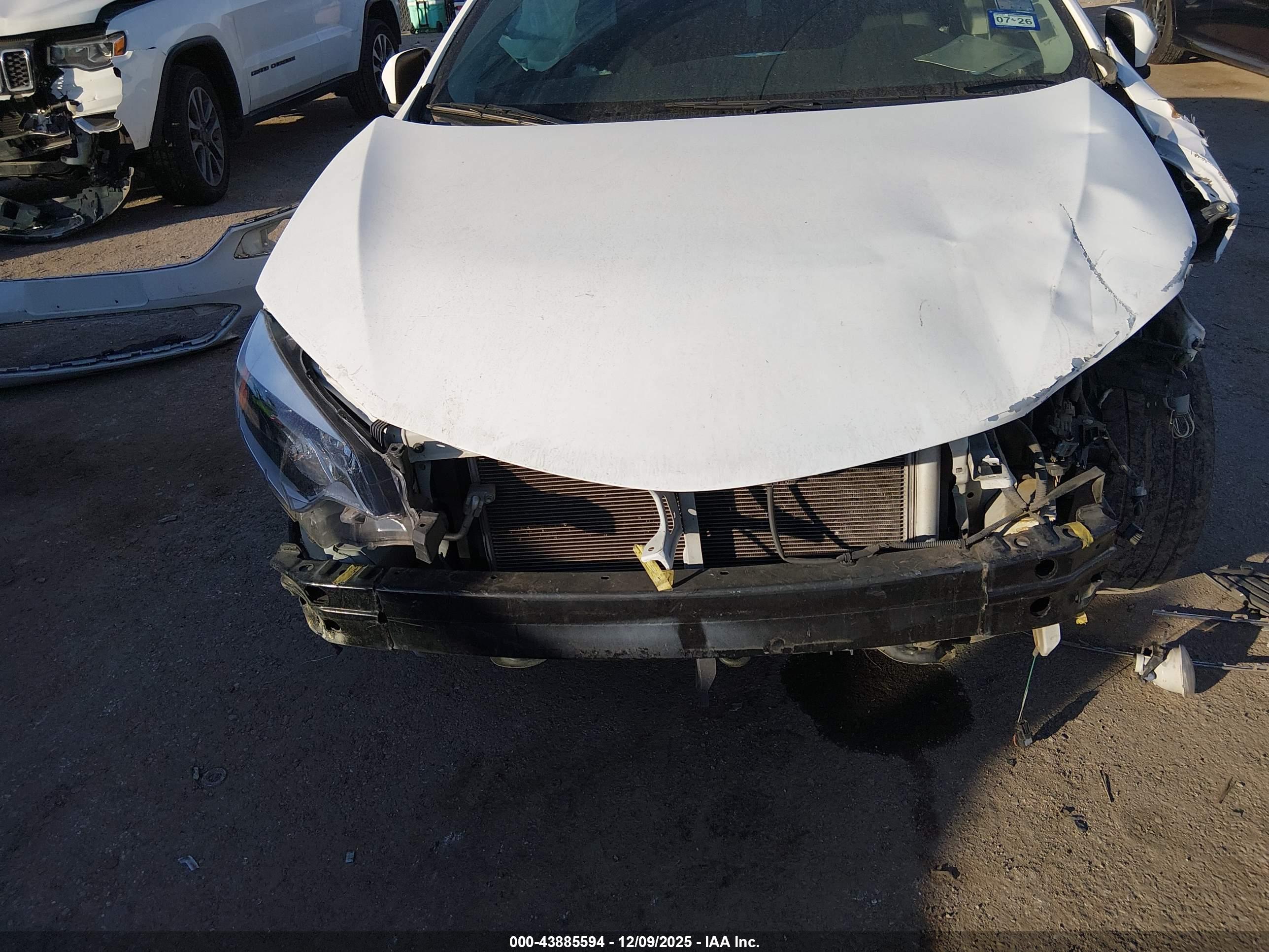 TOYOTA COROLLA image 6