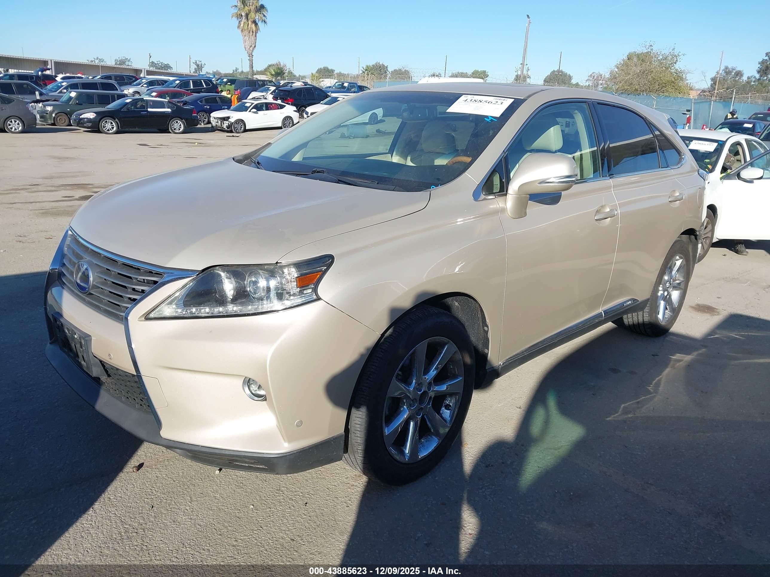 LEXUS RX image 2