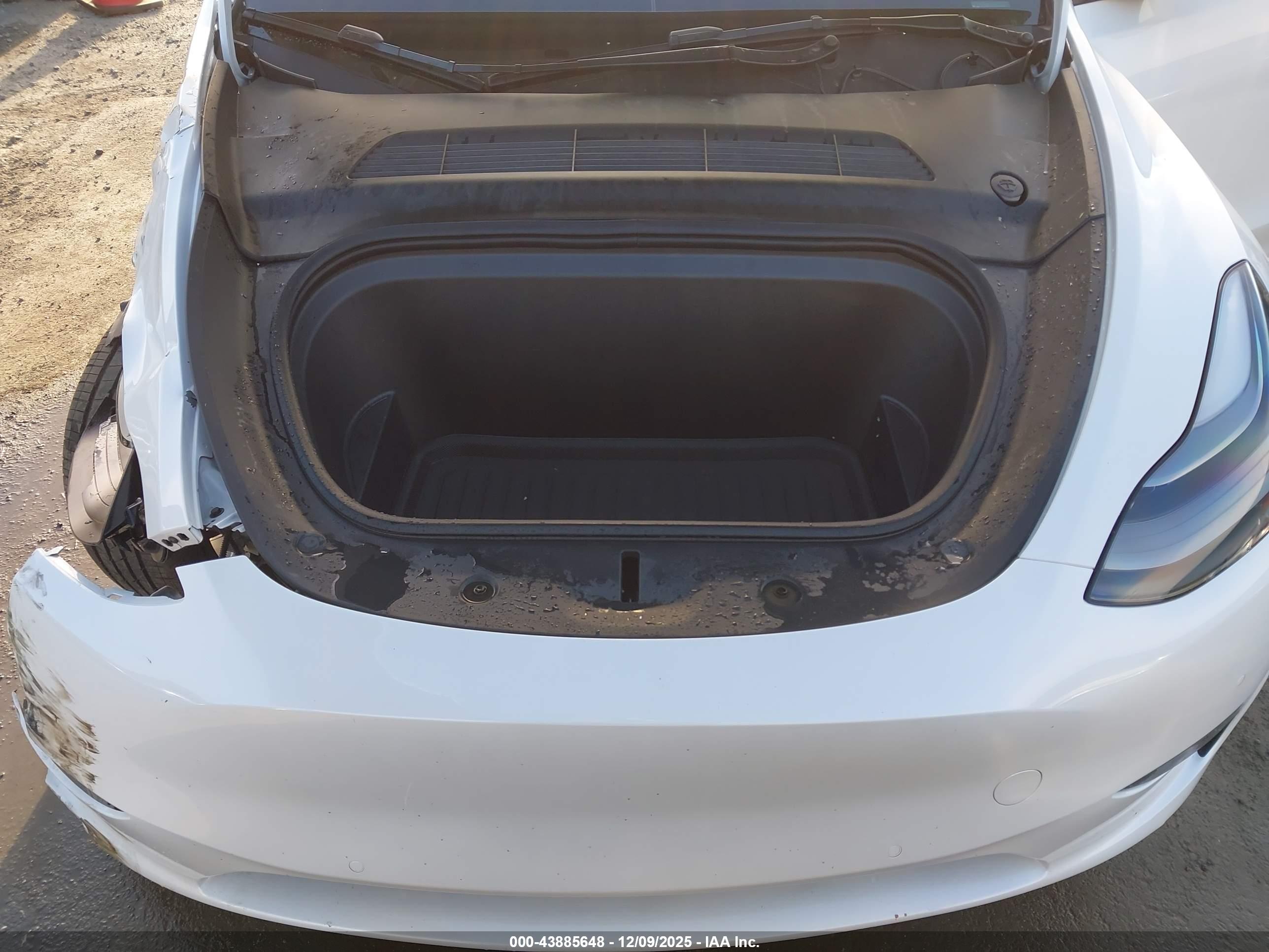 TESLA MODEL image 10