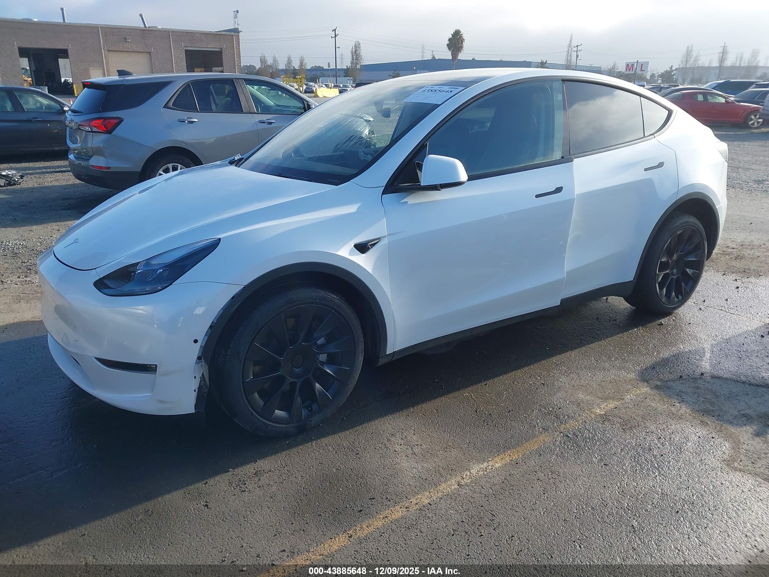 TESLA MODEL image 2