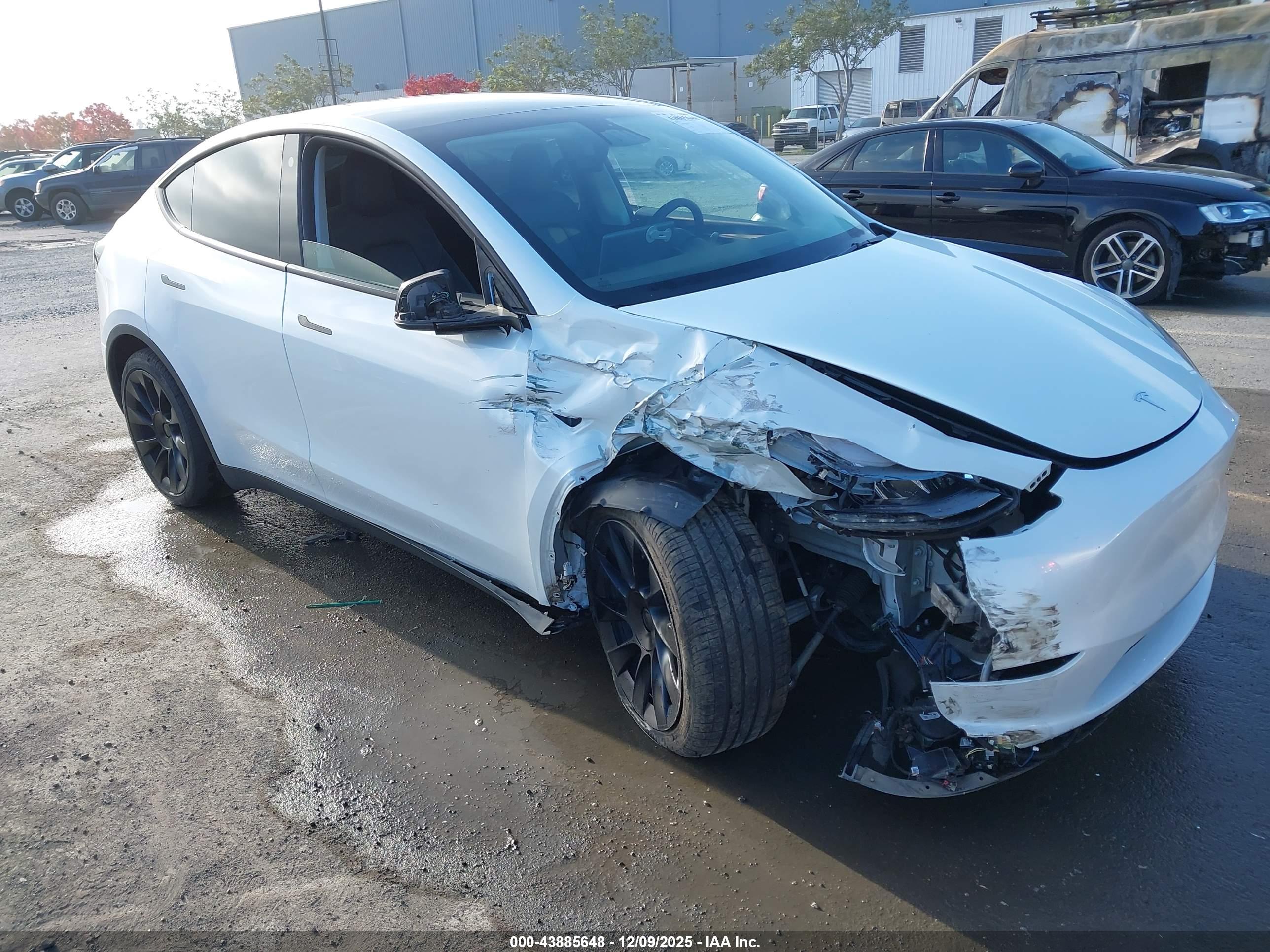 TESLA MODEL image 6
