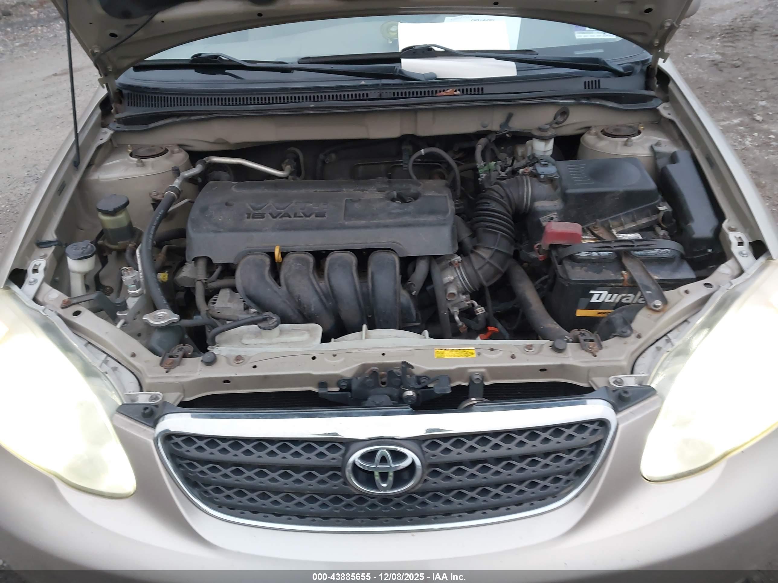 TOYOTA COROLLA image 10