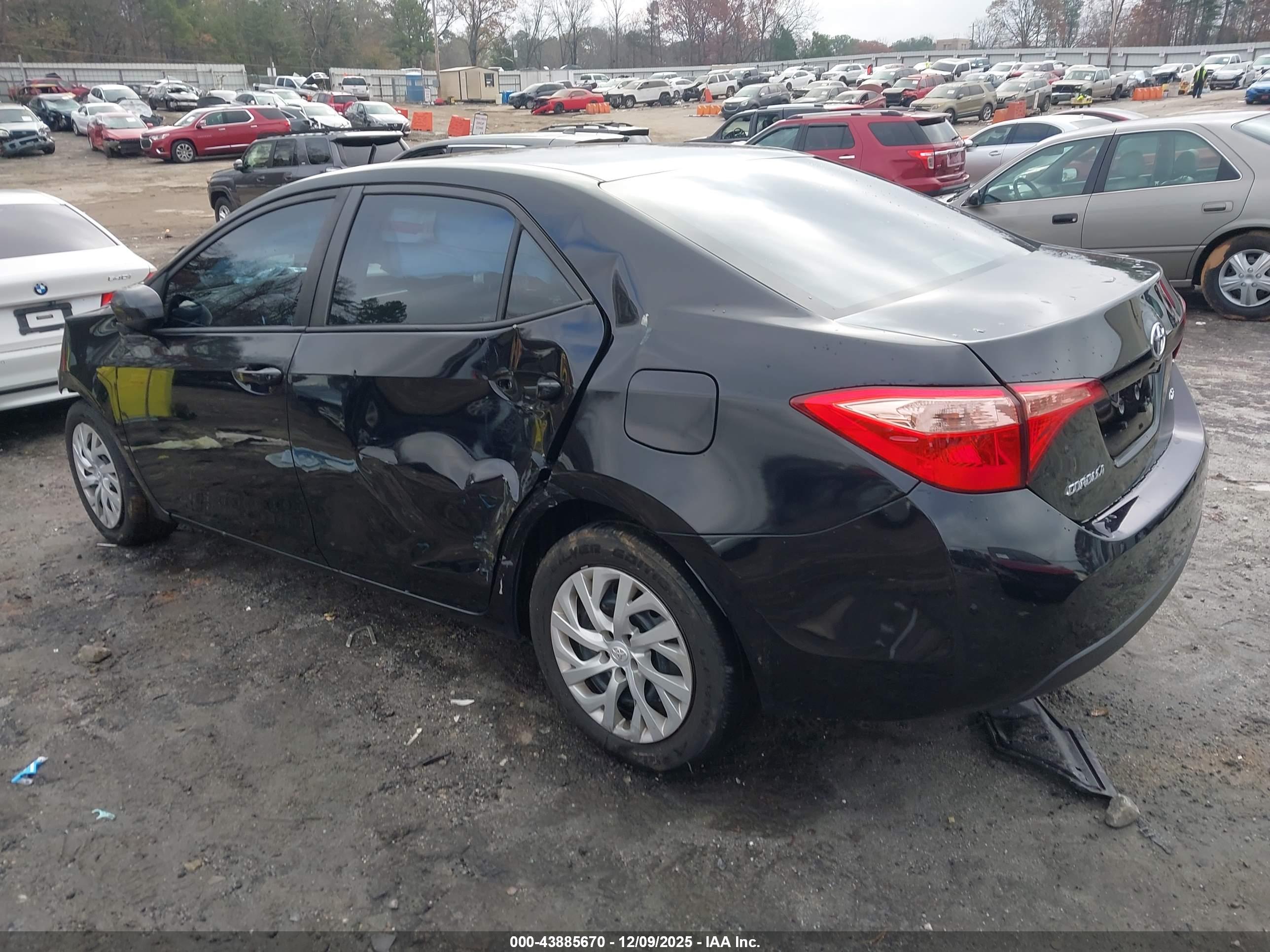 TOYOTA COROLLA image 3
