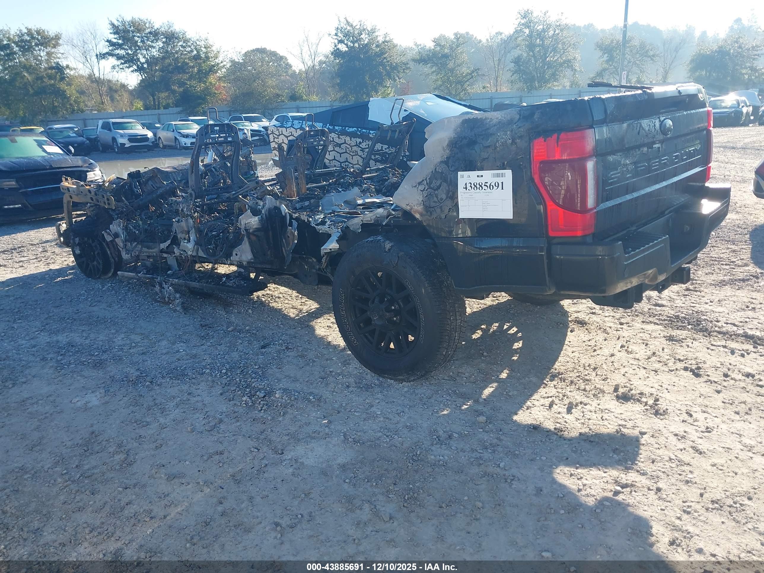 FORD F-250 image 3