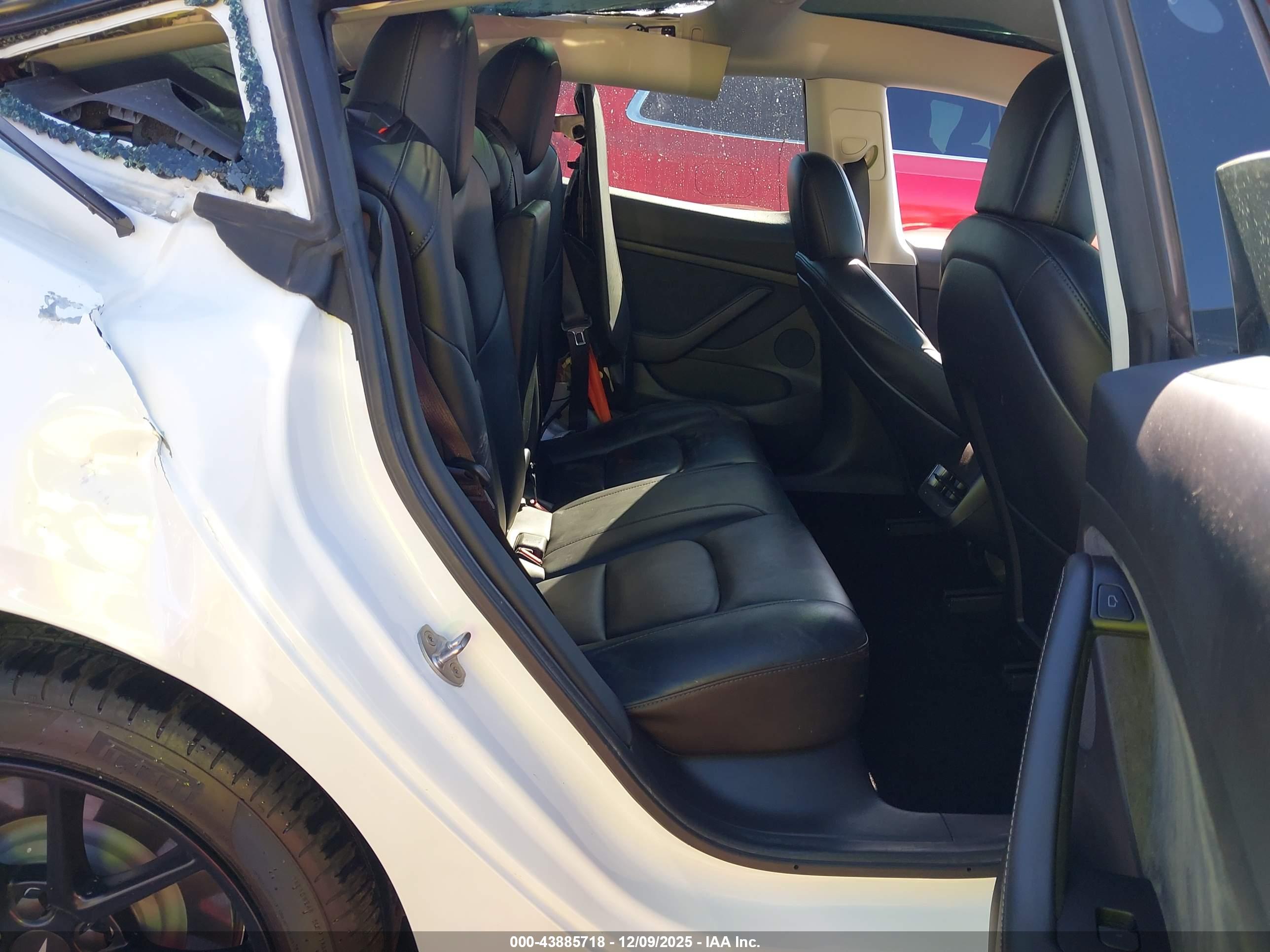 TESLA MODEL image 8