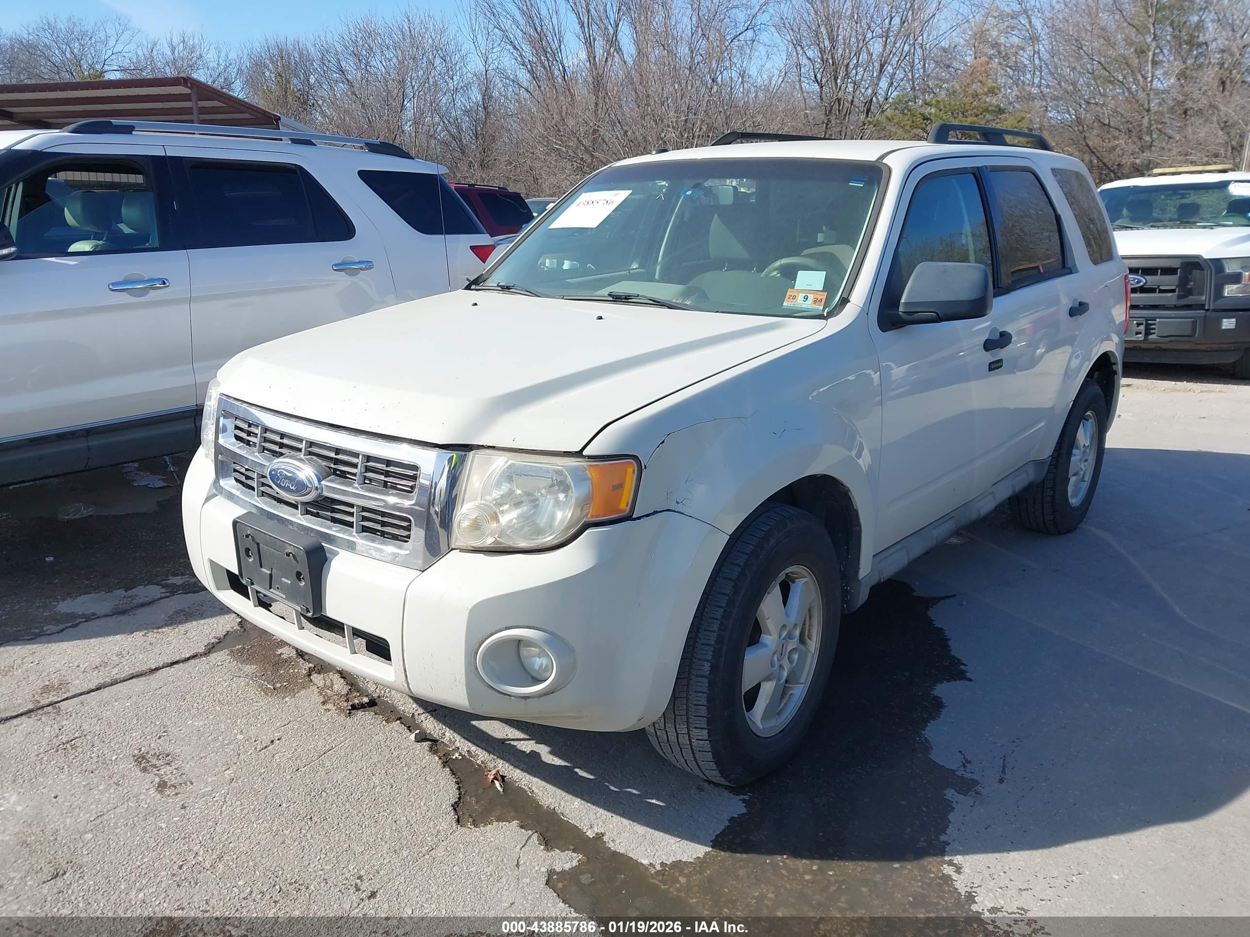 FORD ESCAPE image 2