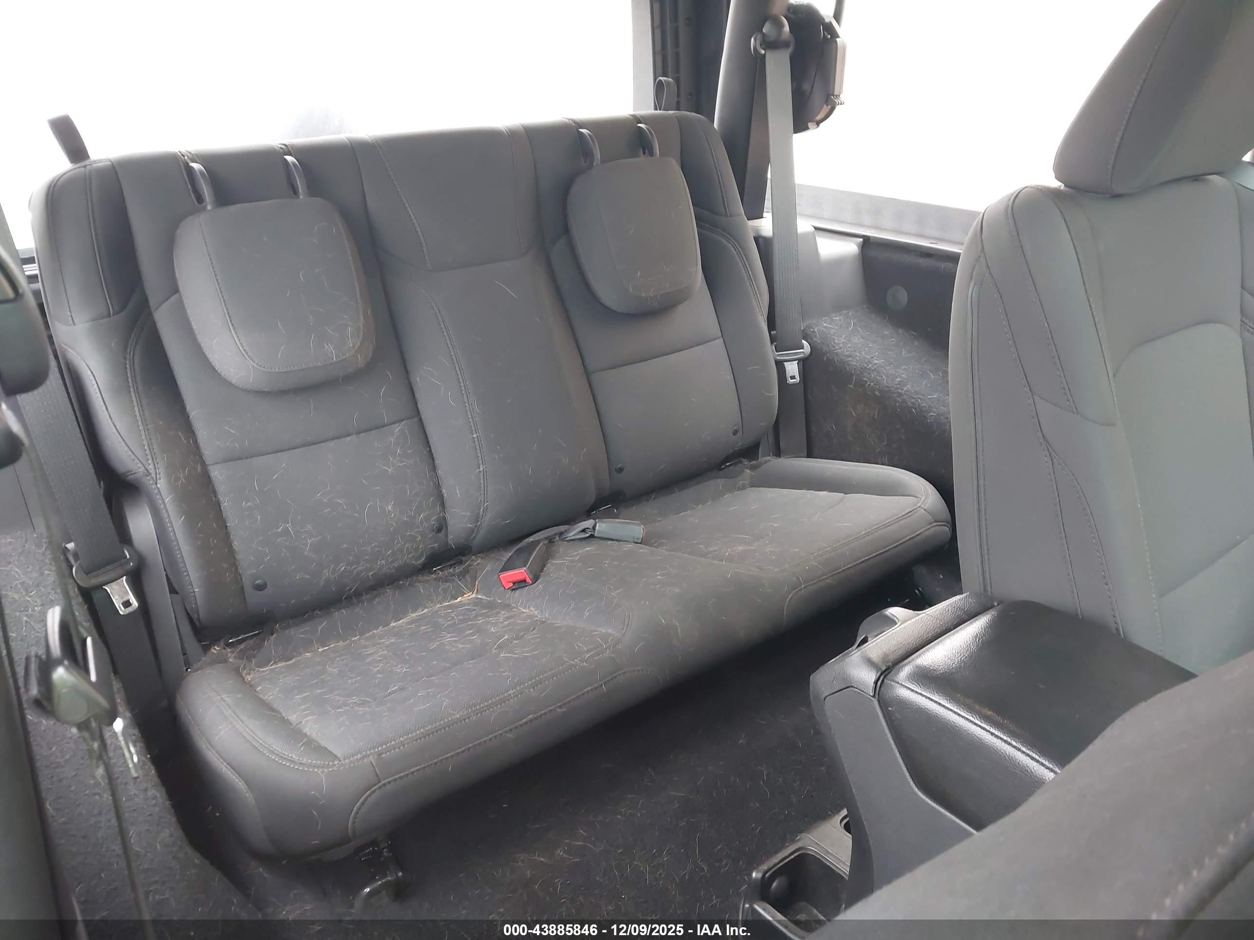 JEEP WRANGLER image 8