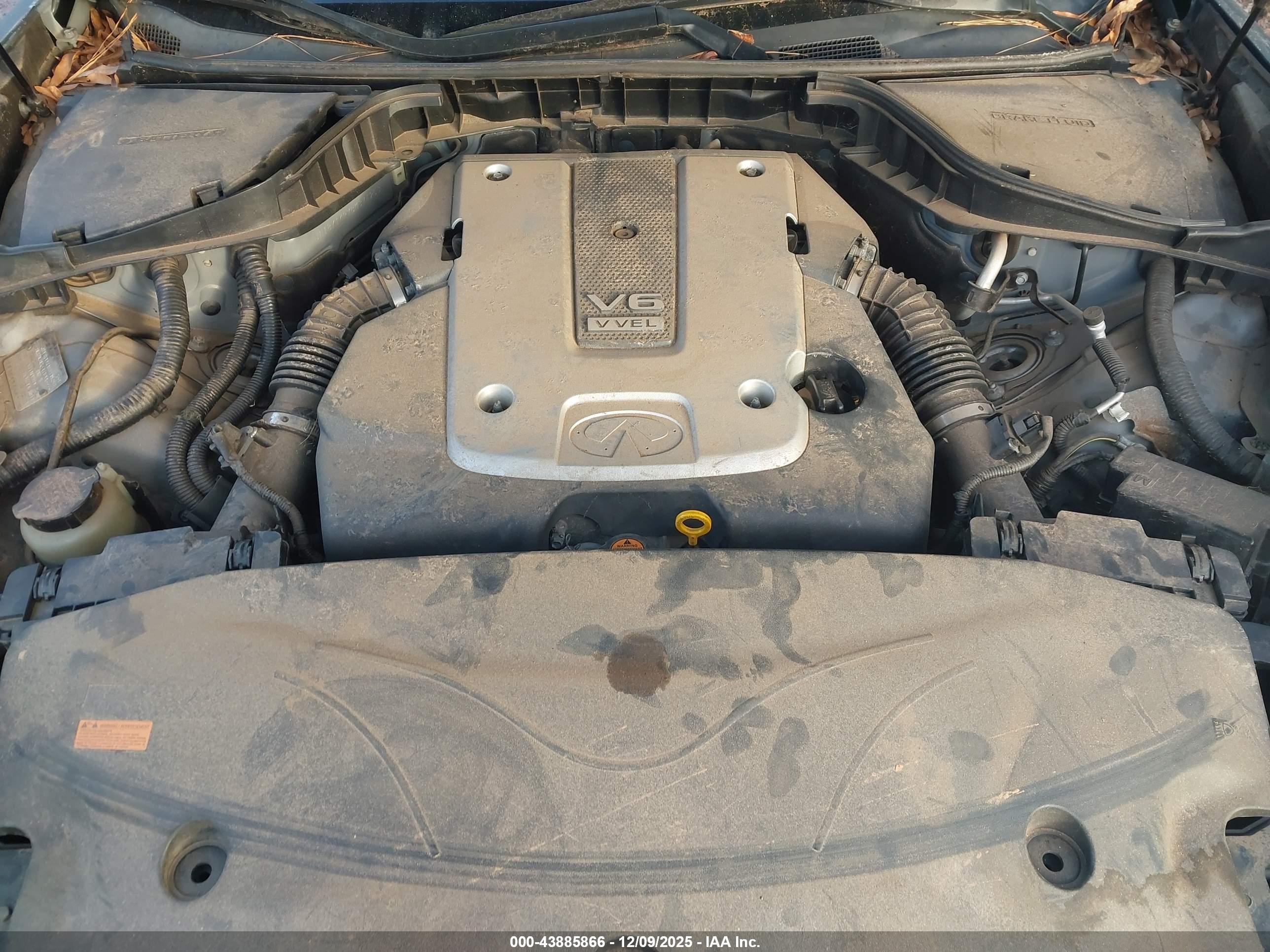 INFINITI M37X image 10