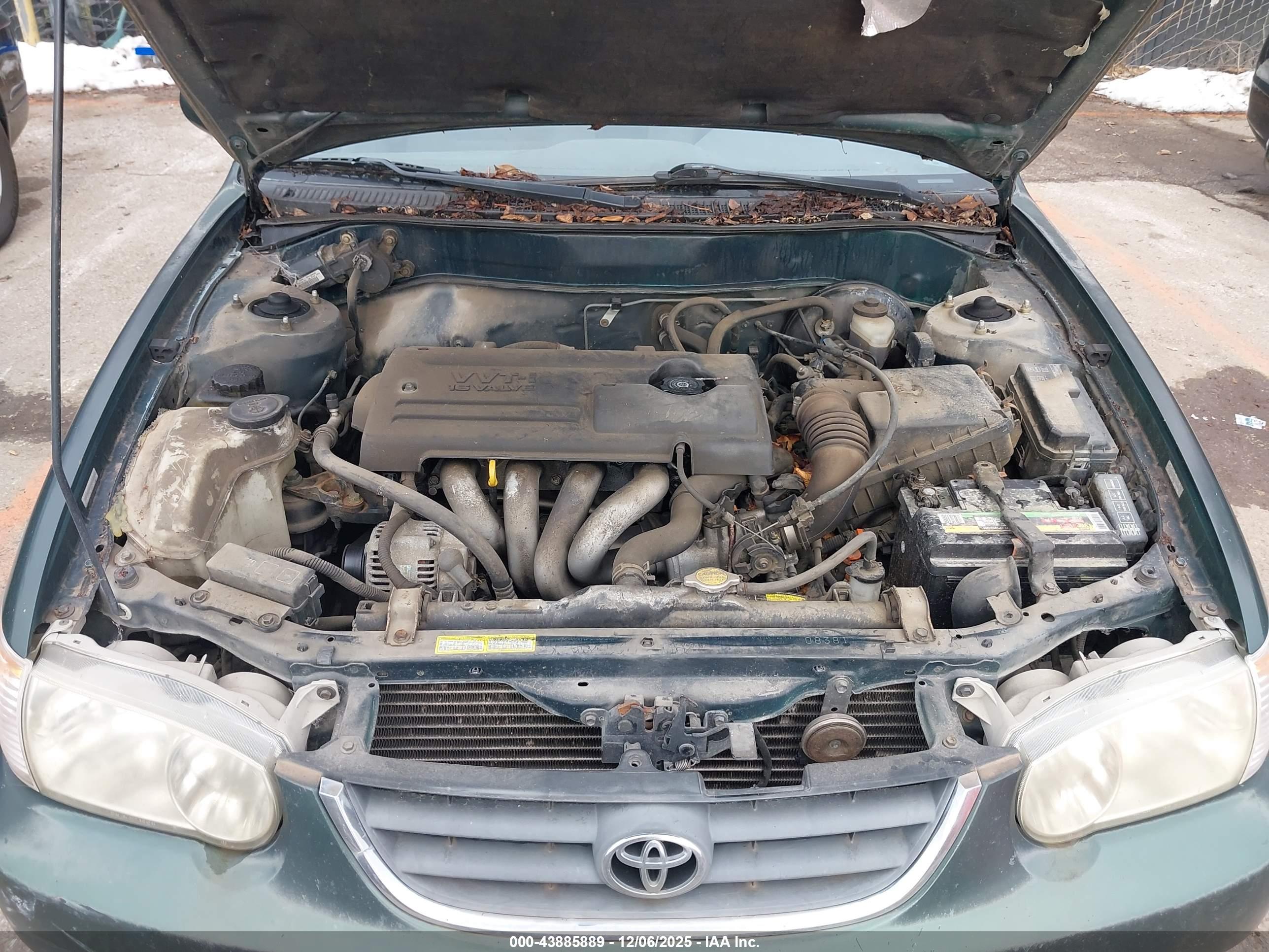 TOYOTA COROLLA image 10