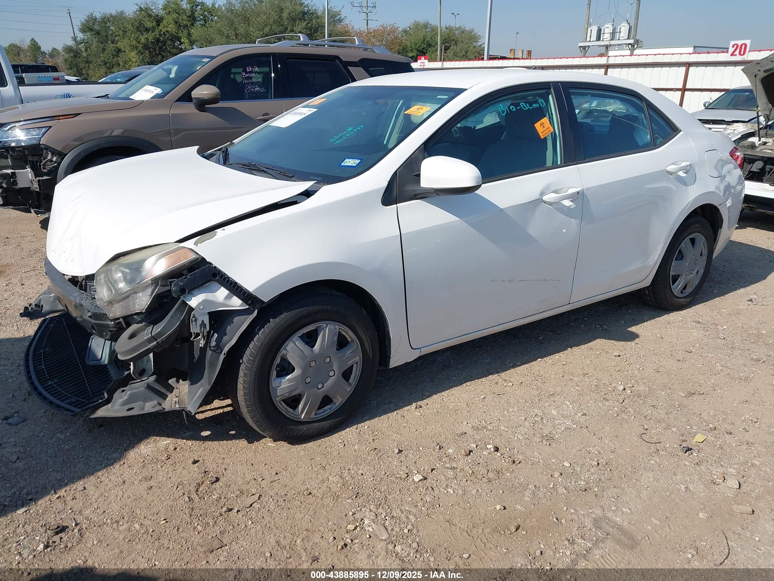TOYOTA COROLLA image 2