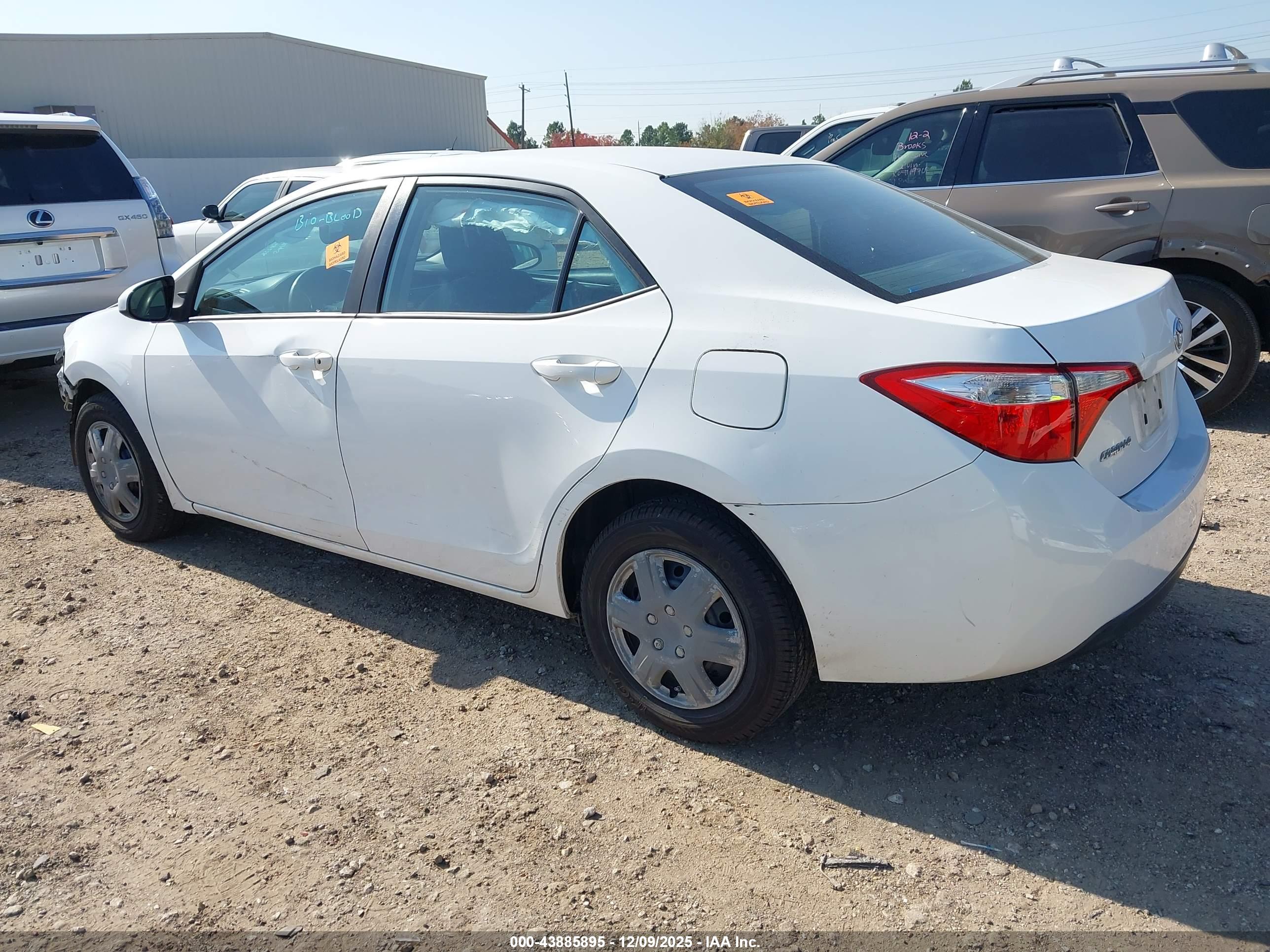 TOYOTA COROLLA image 3