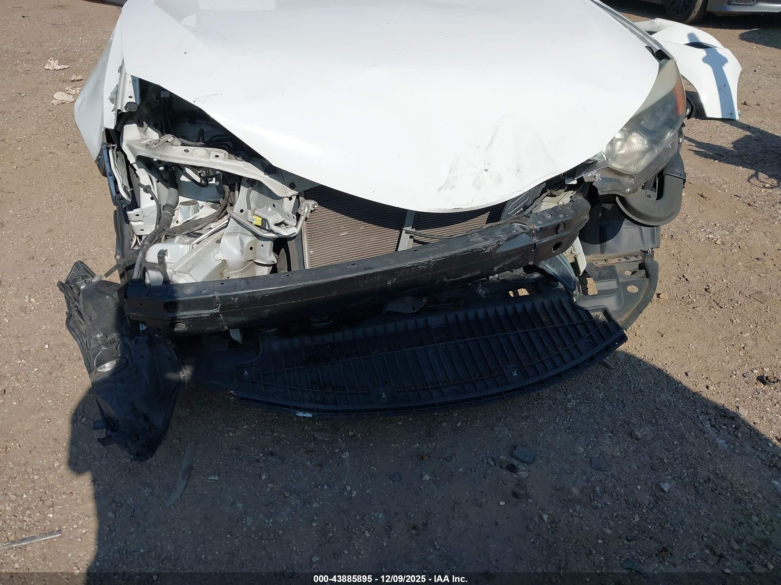 TOYOTA COROLLA image 6