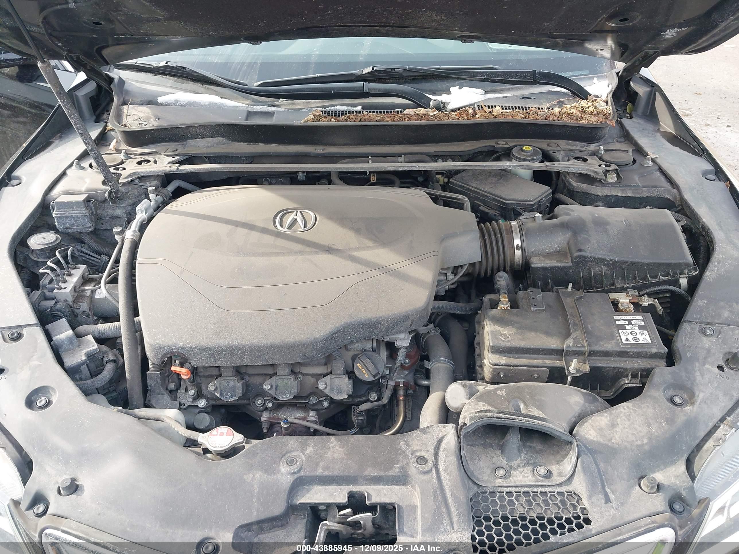 ACURA TLX image 10