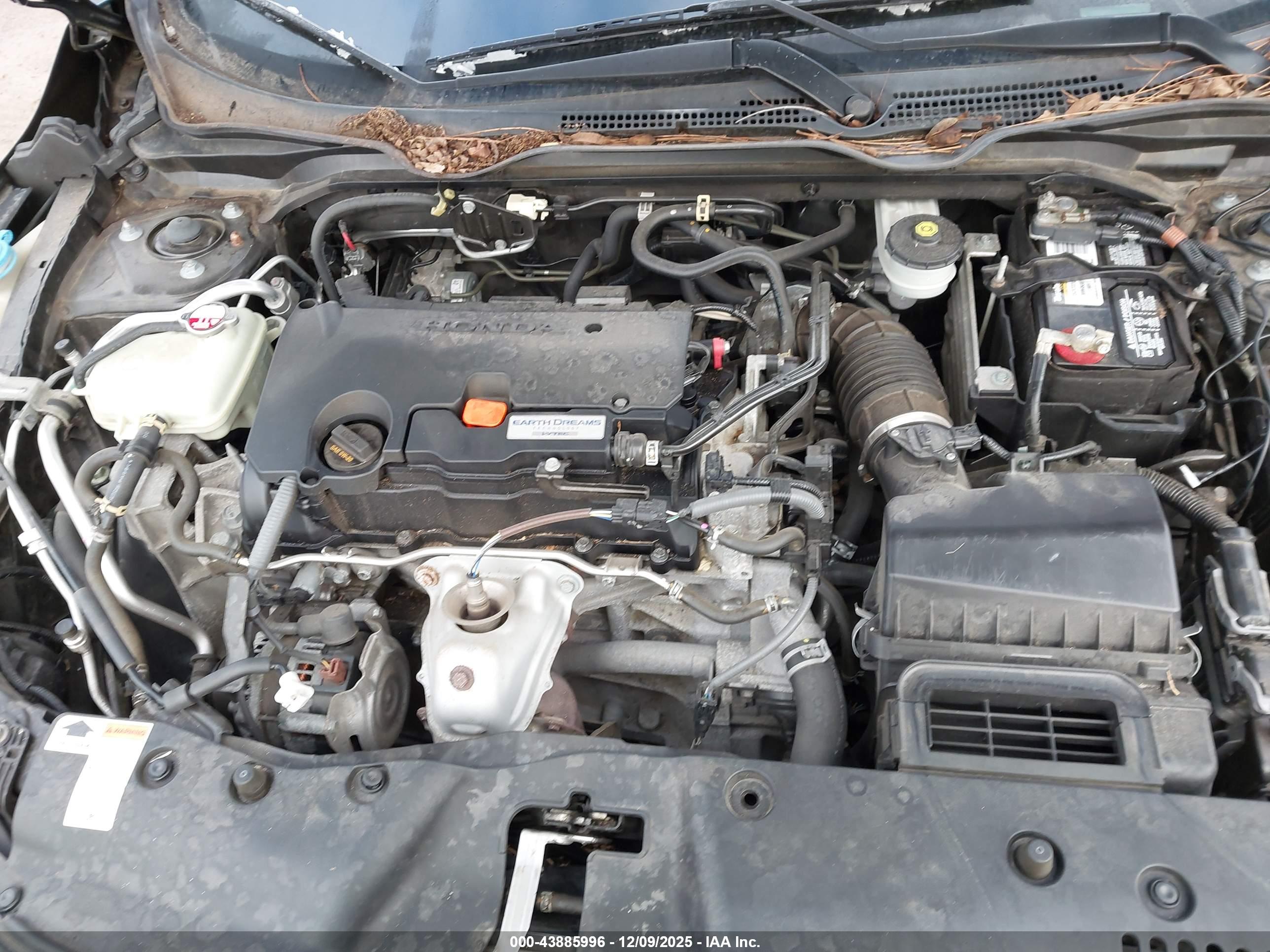 HONDA CIVIC image 10