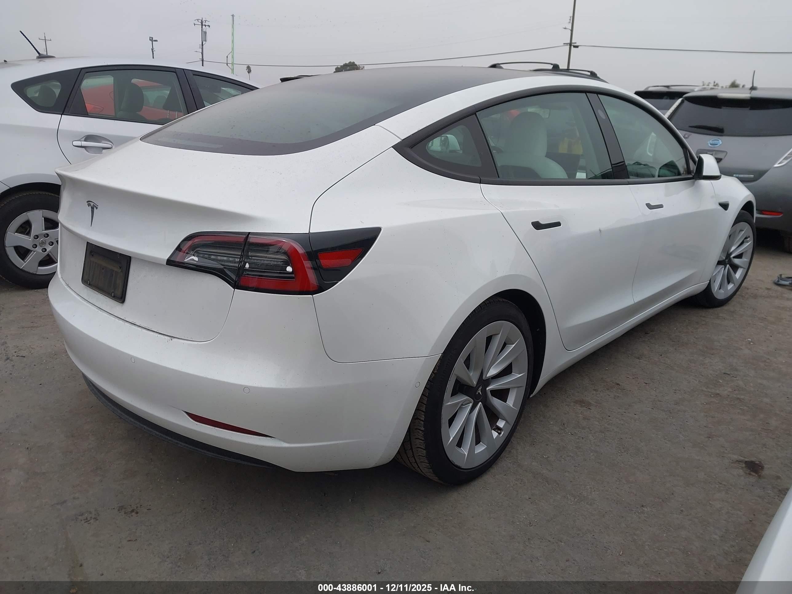 TESLA MODEL image 4