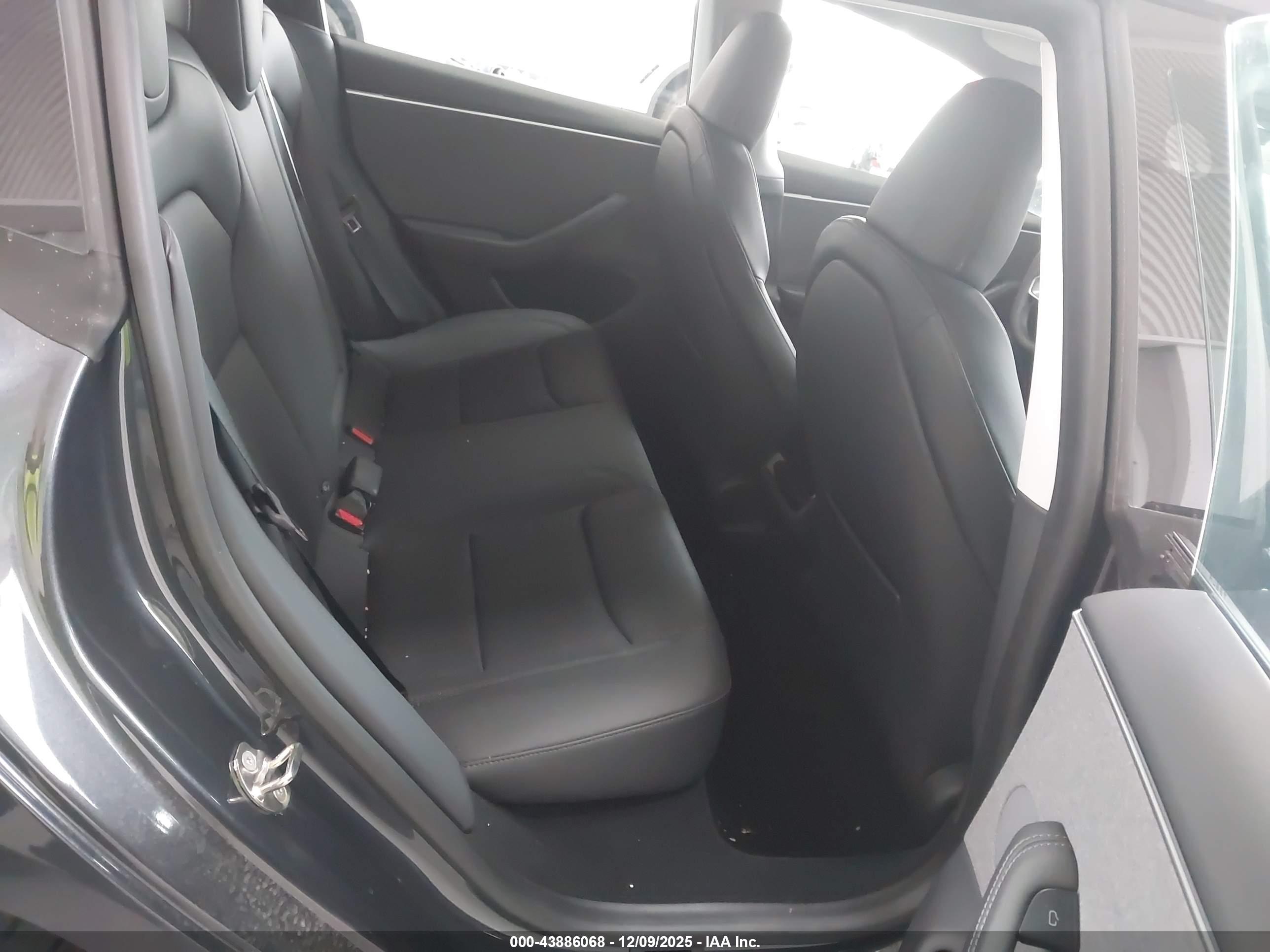 TESLA MODEL image 8