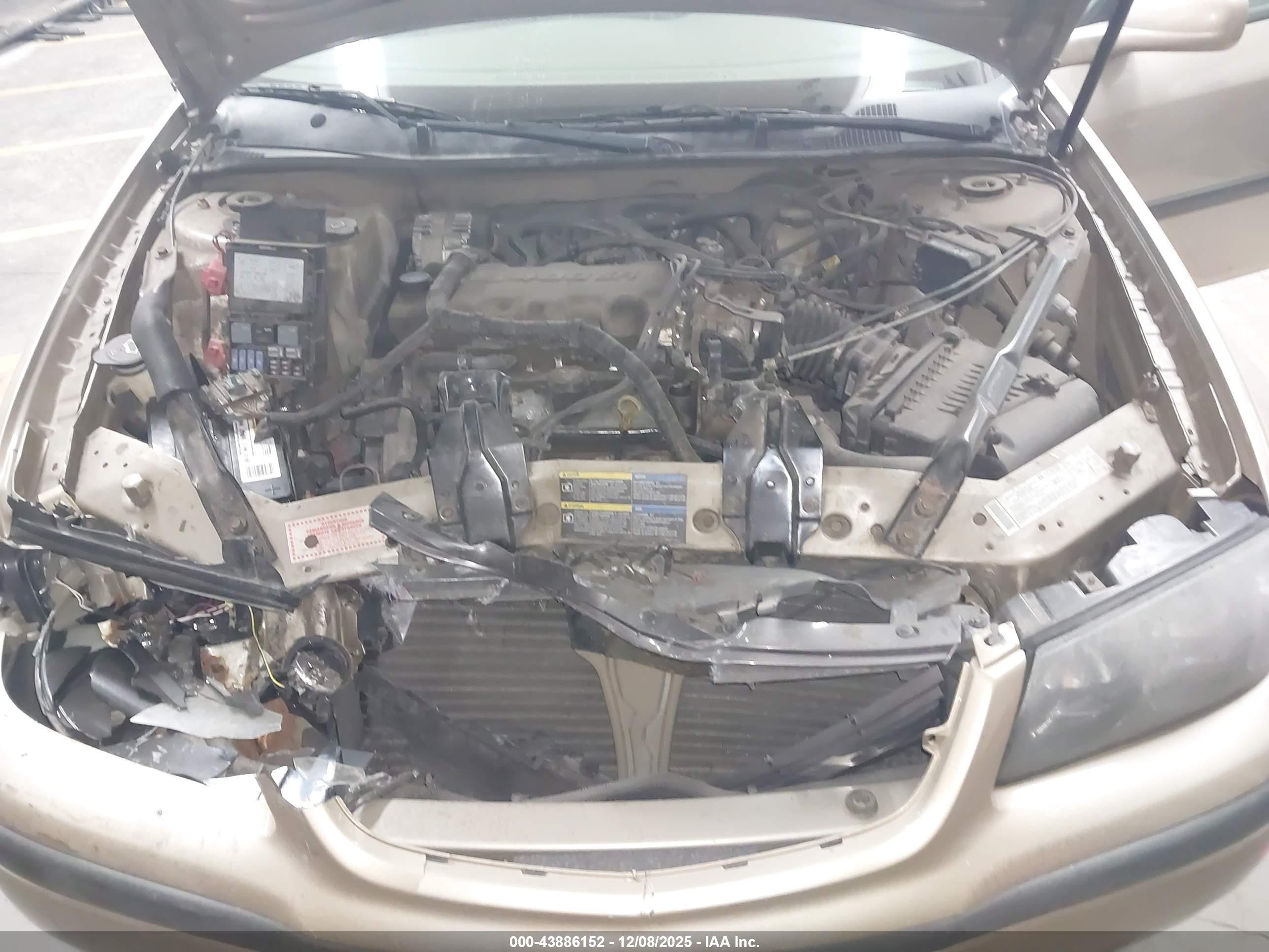 CHEVROLET IMPALA image 10