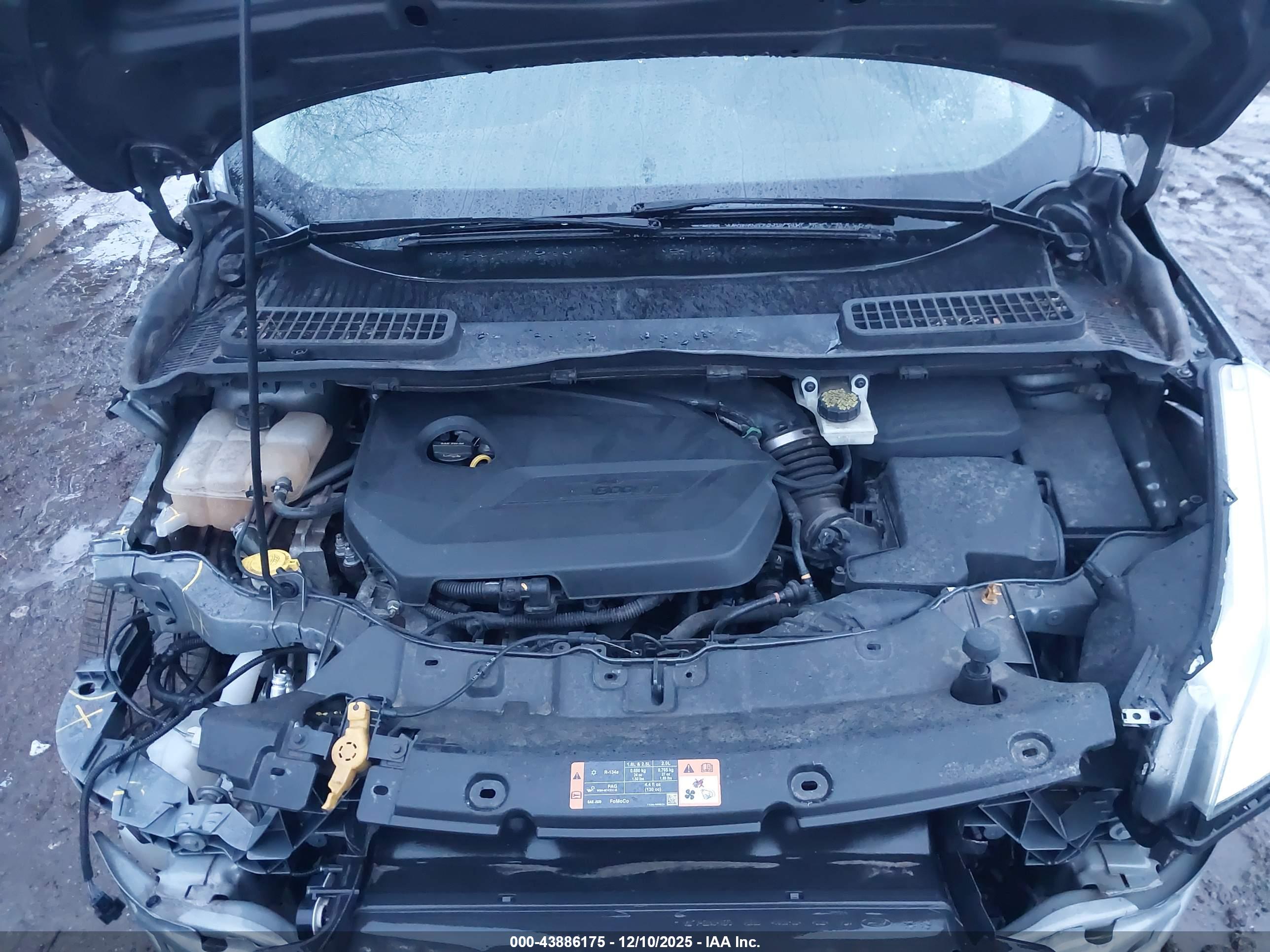 FORD ESCAPE image 10