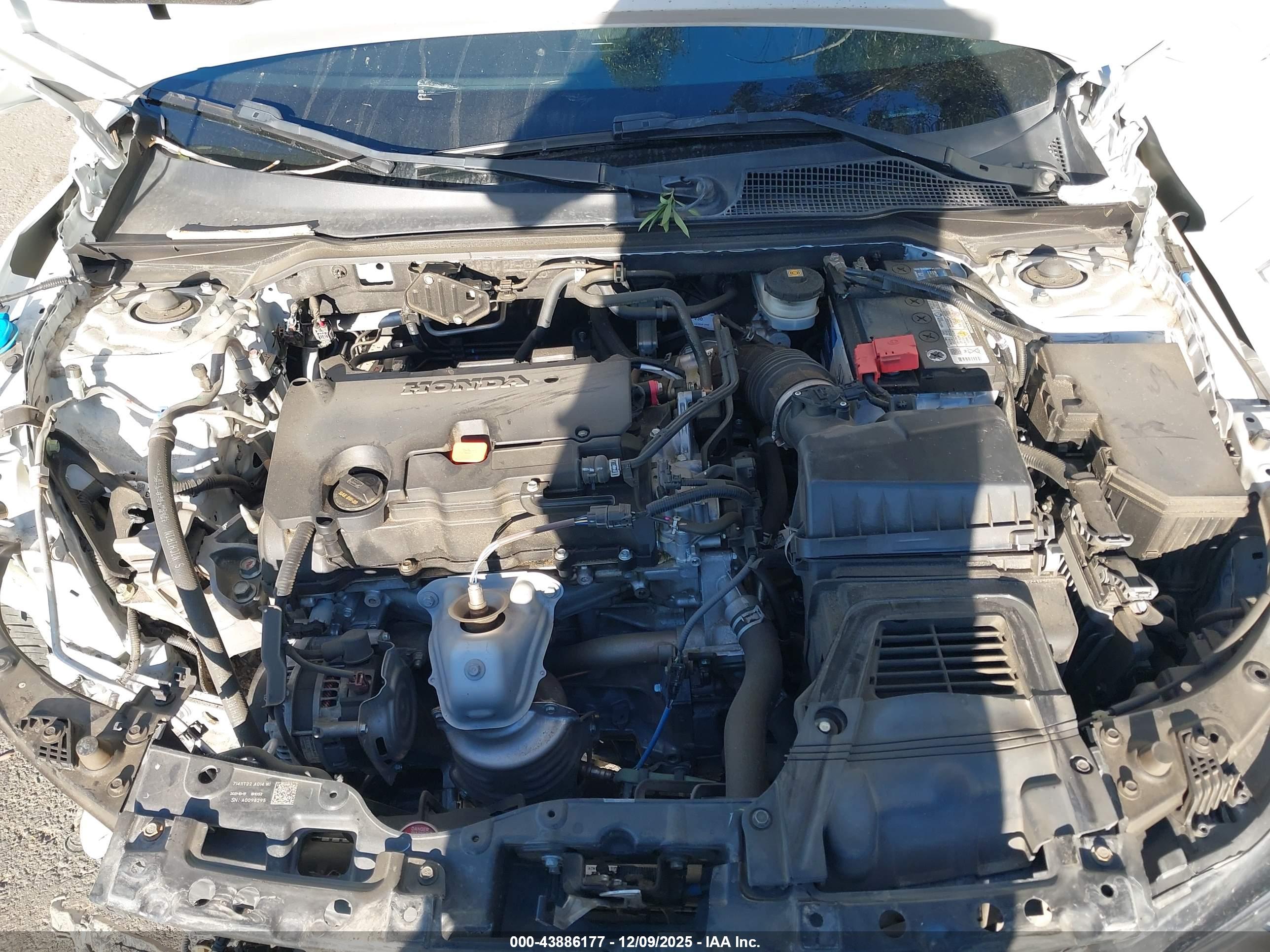 HONDA CIVIC image 10