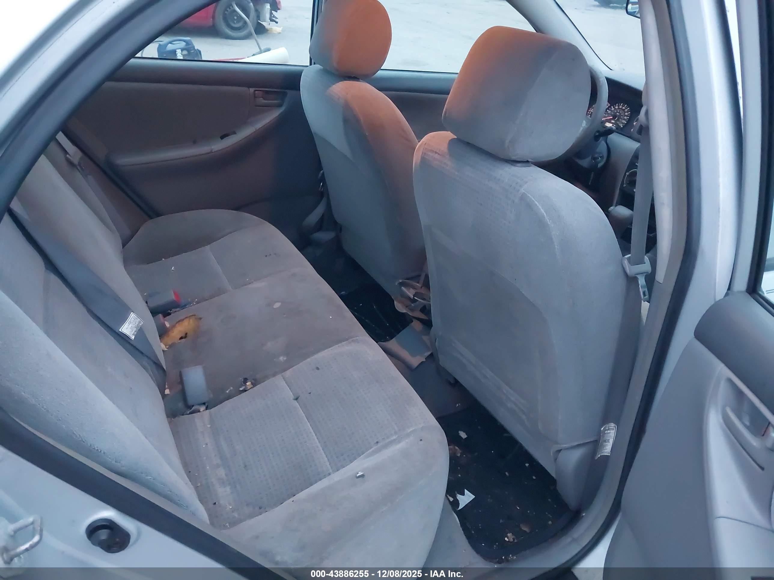 TOYOTA COROLLA image 8
