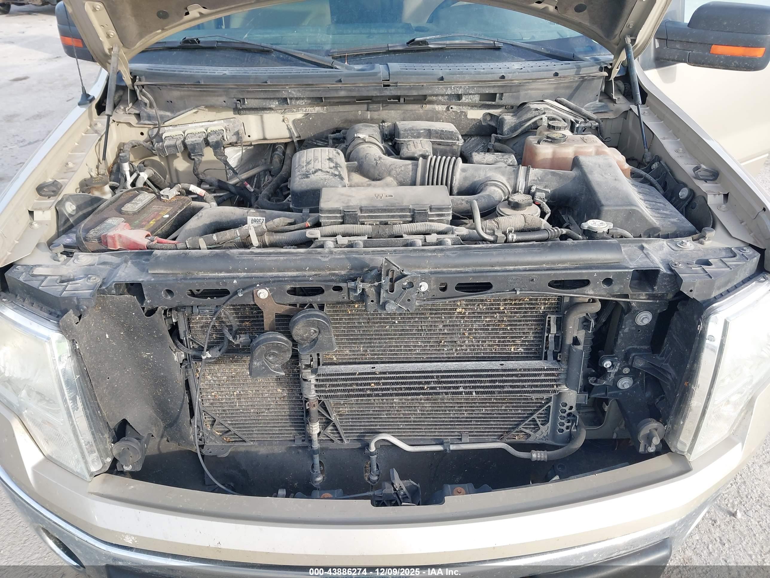 FORD F-150 image 10