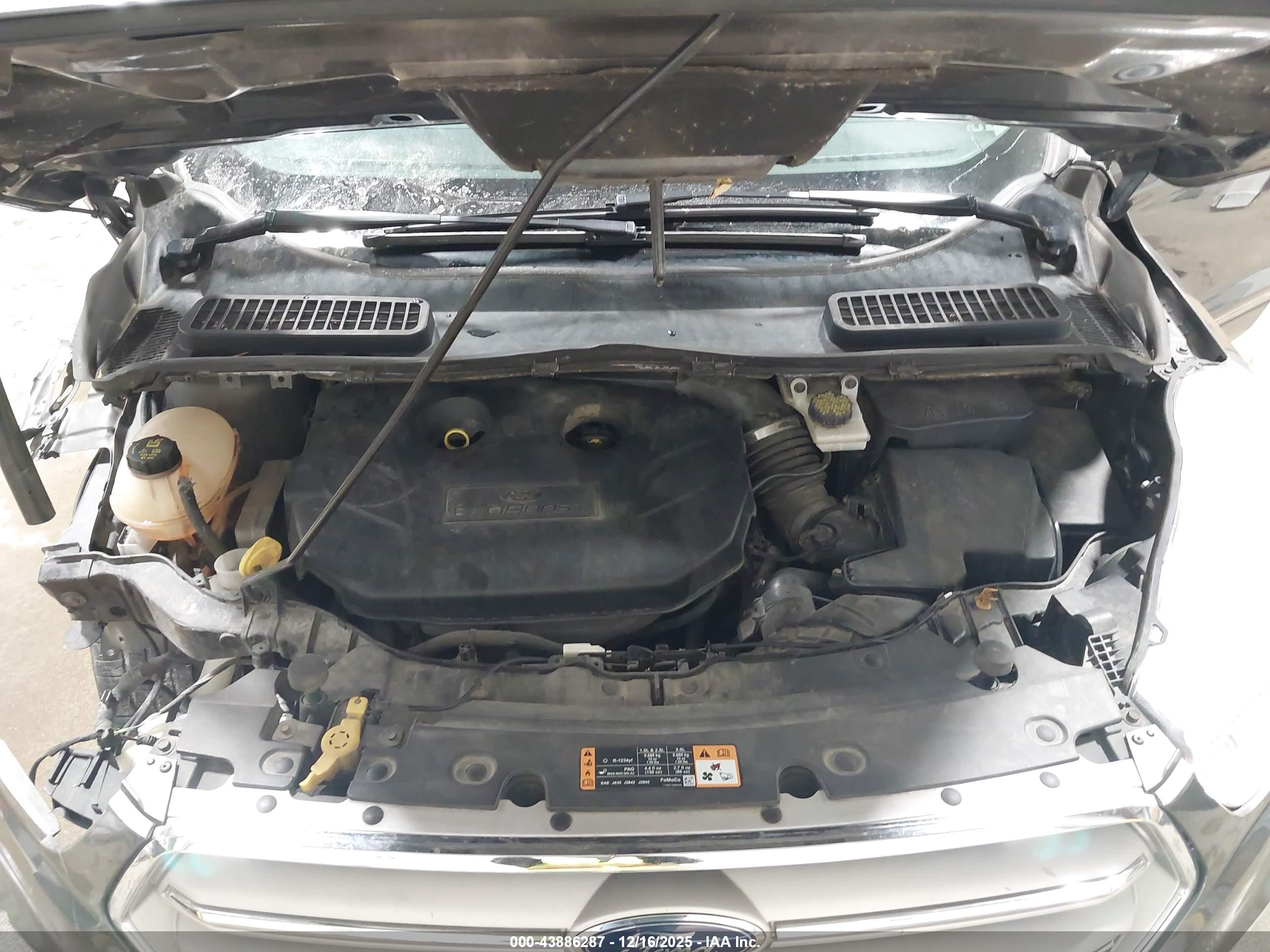 FORD ESCAPE image 10