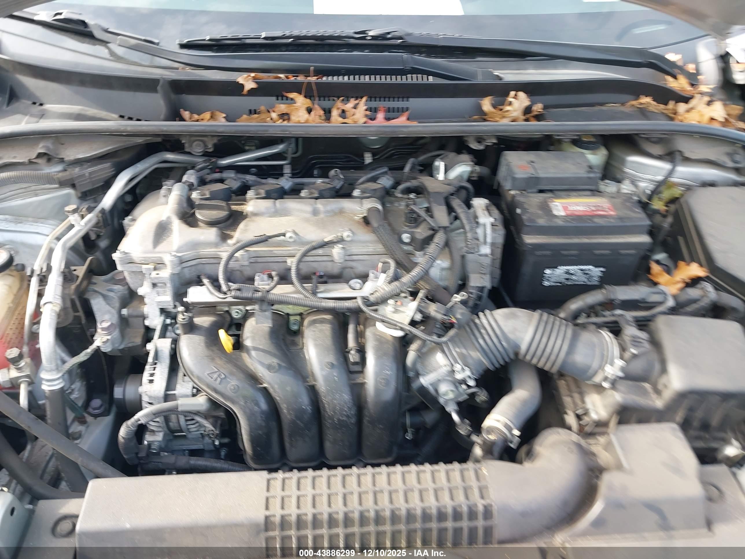 TOYOTA COROLLA image 10