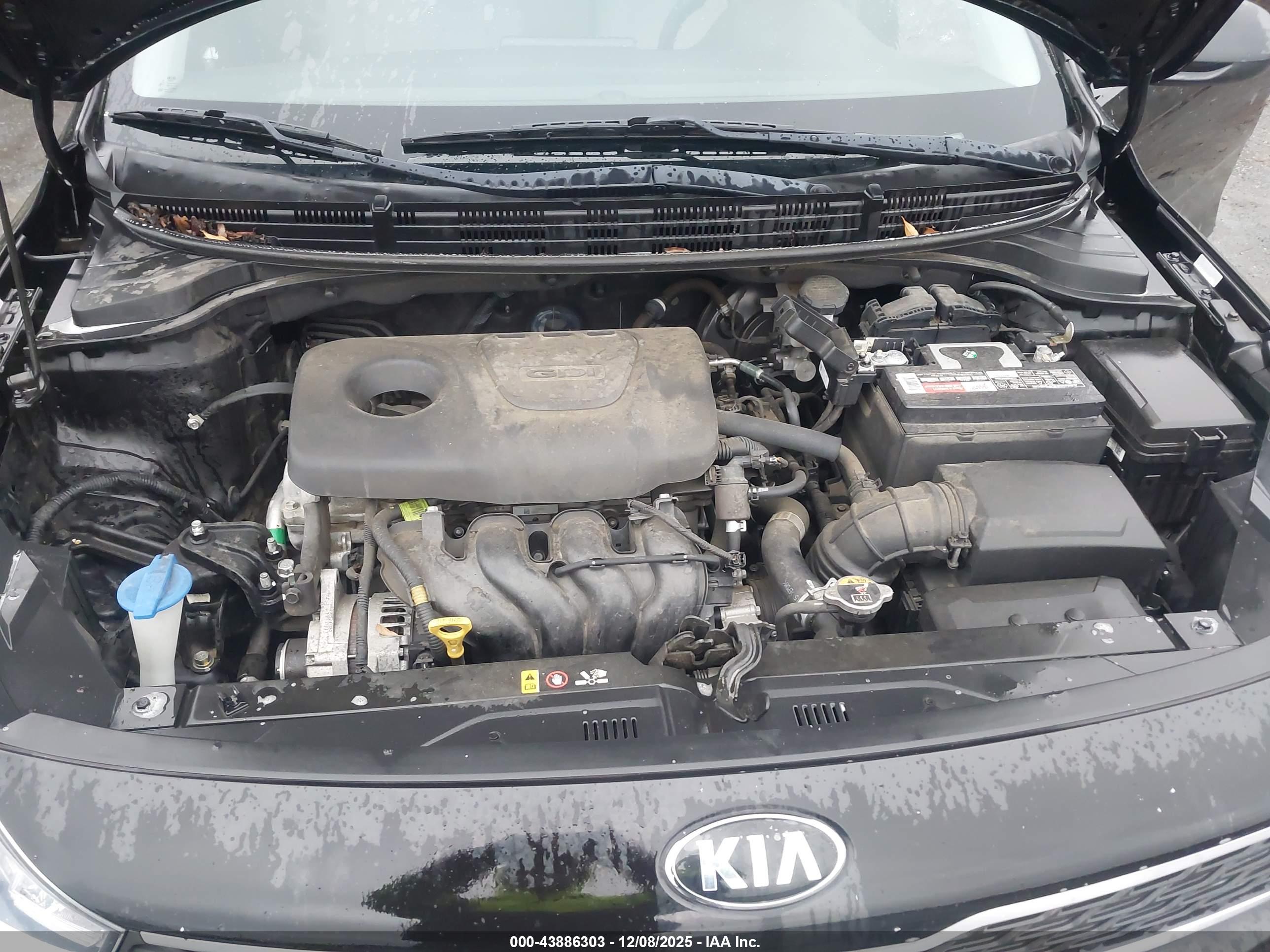 KIA RIO image 10