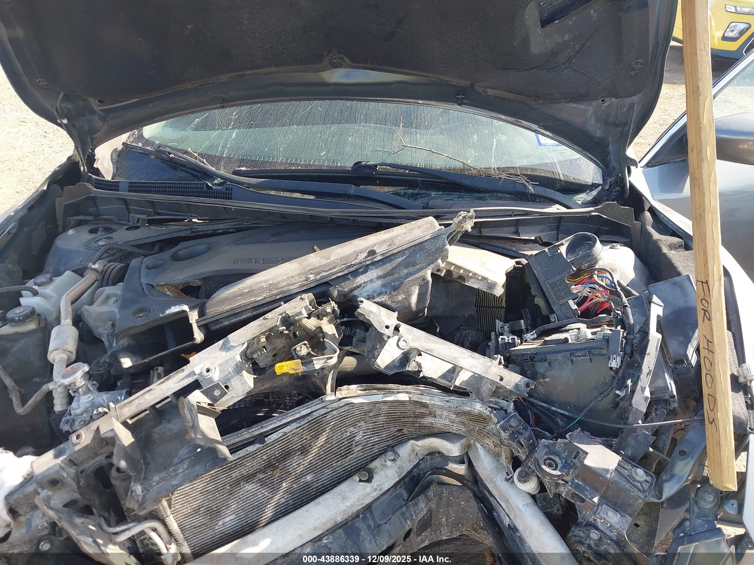 NISSAN ALTIMA image 10