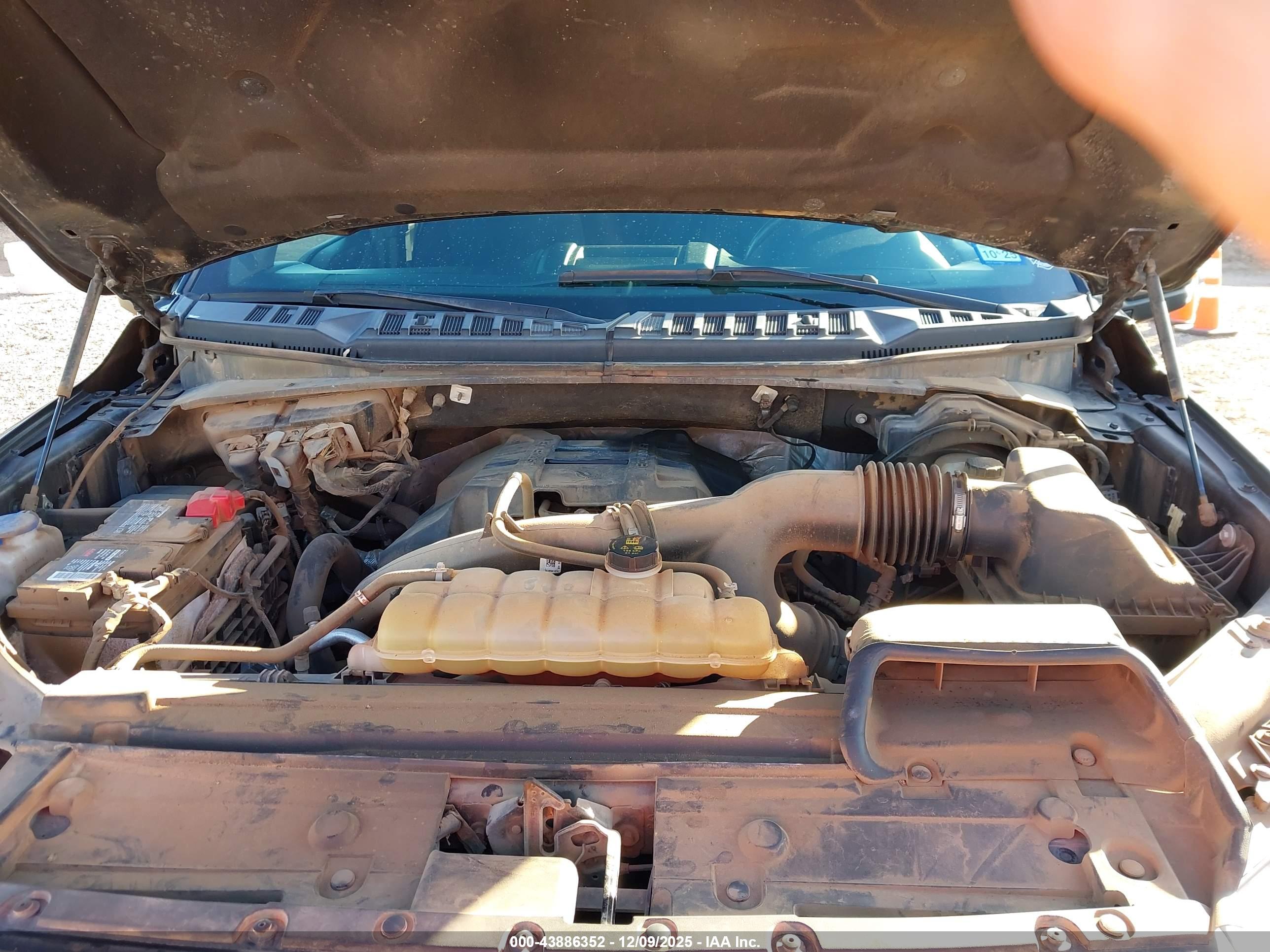 FORD F-150 image 10