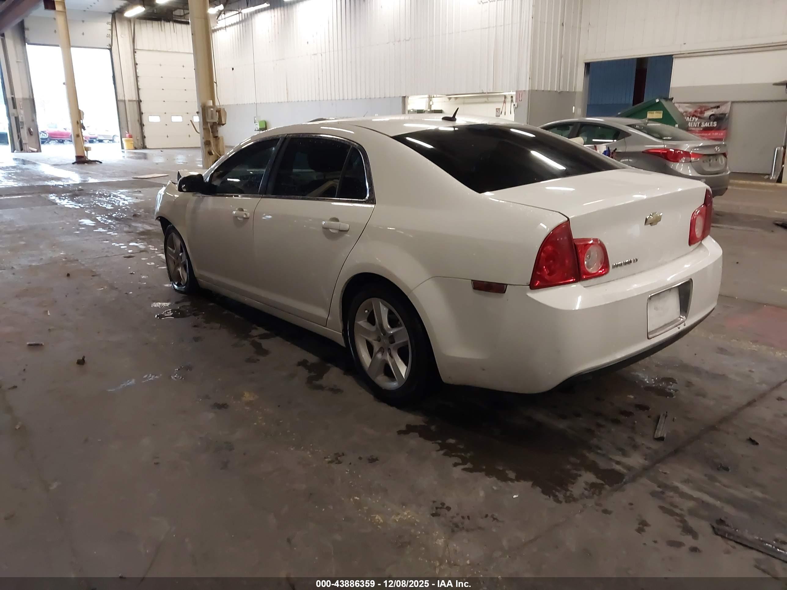 CHEVROLET MALIBU image 3