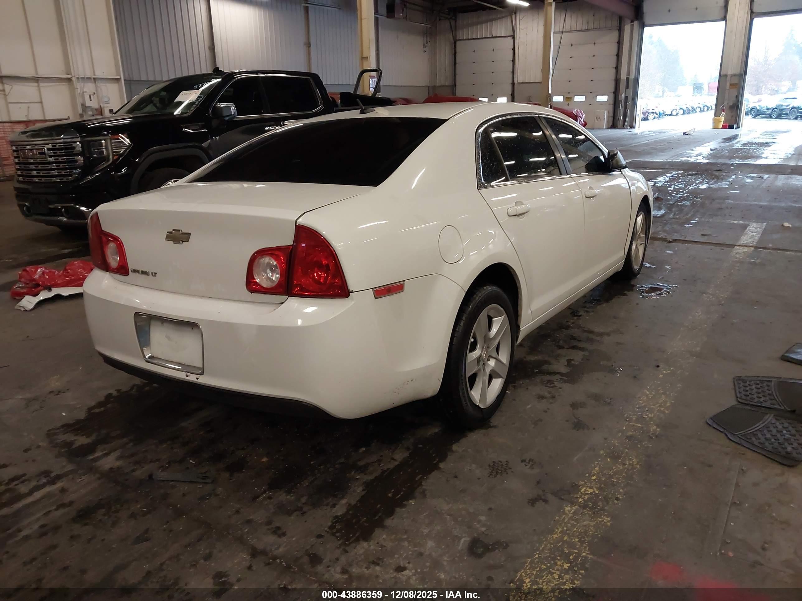 CHEVROLET MALIBU image 4