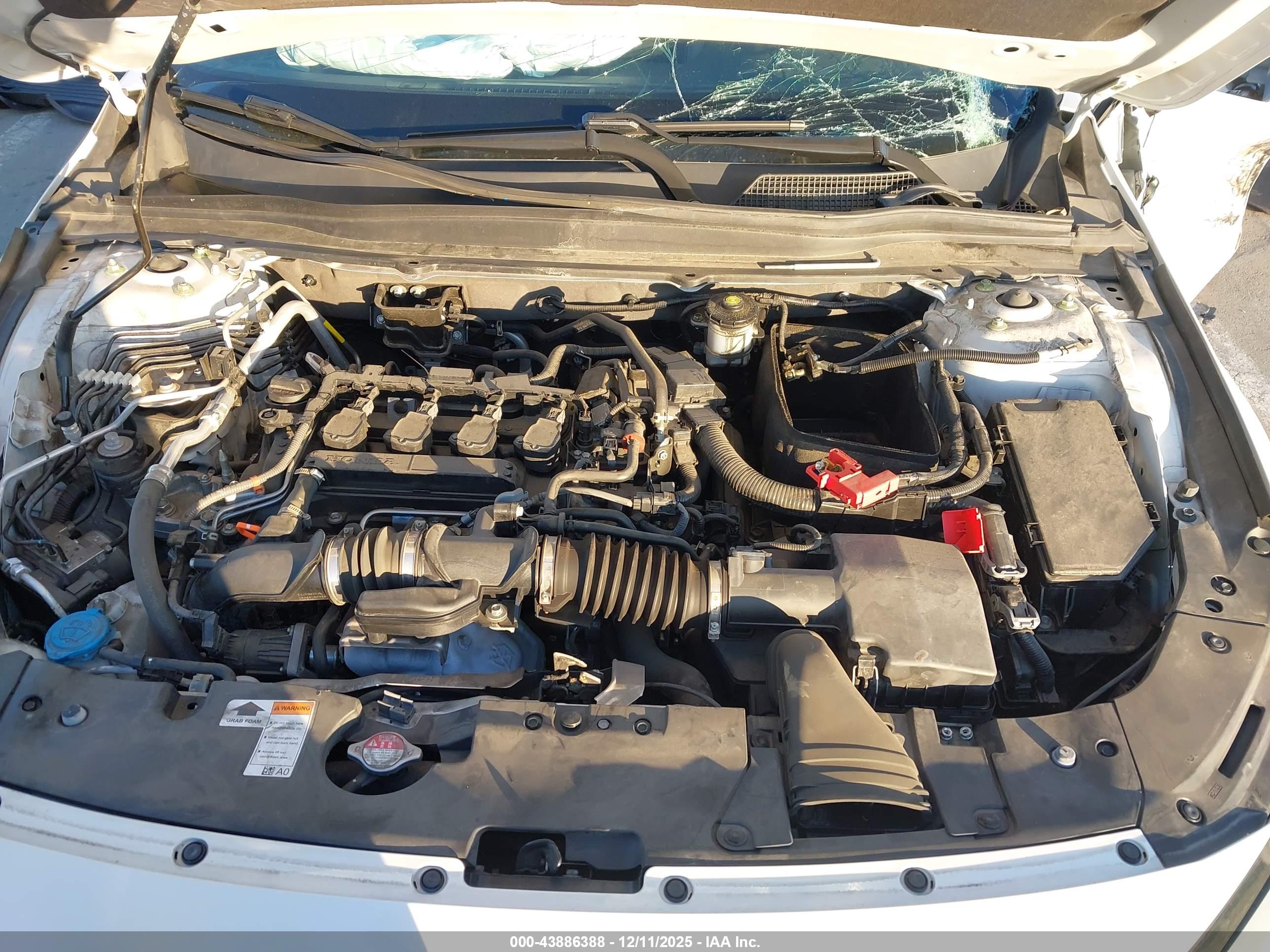 HONDA ACCORD image 10