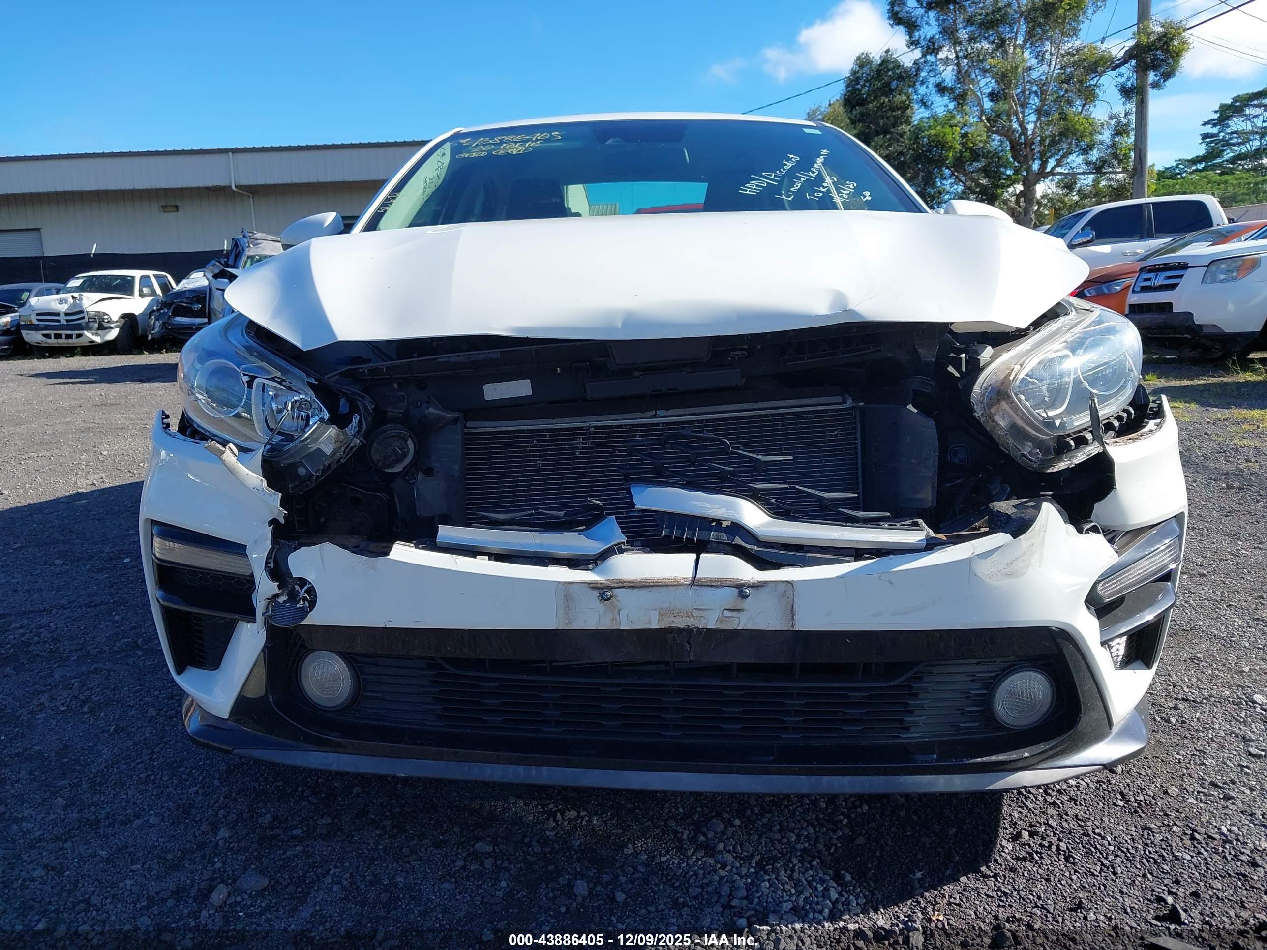 KIA FORTE image 6