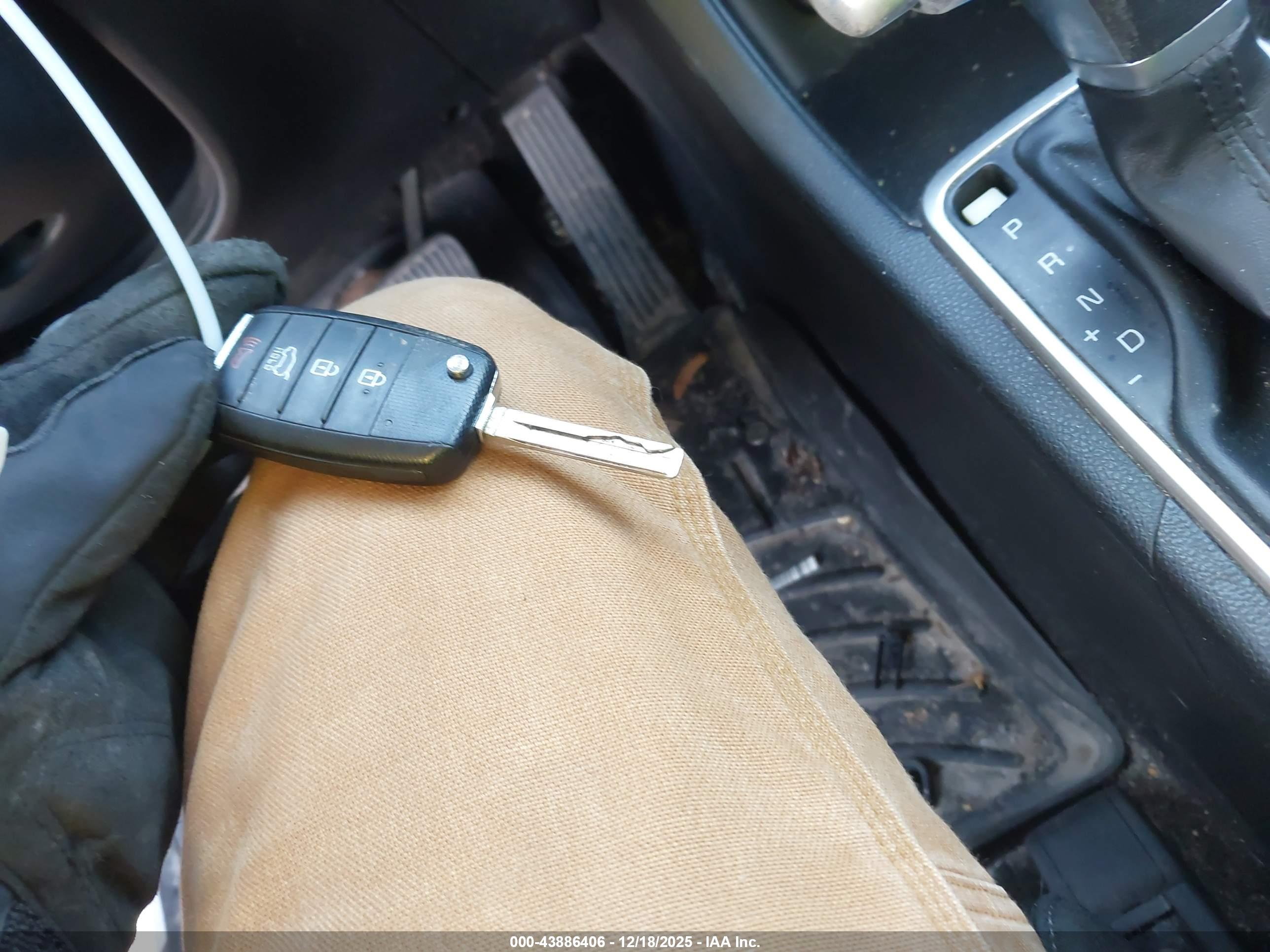 KIA SPORTAGE image 11