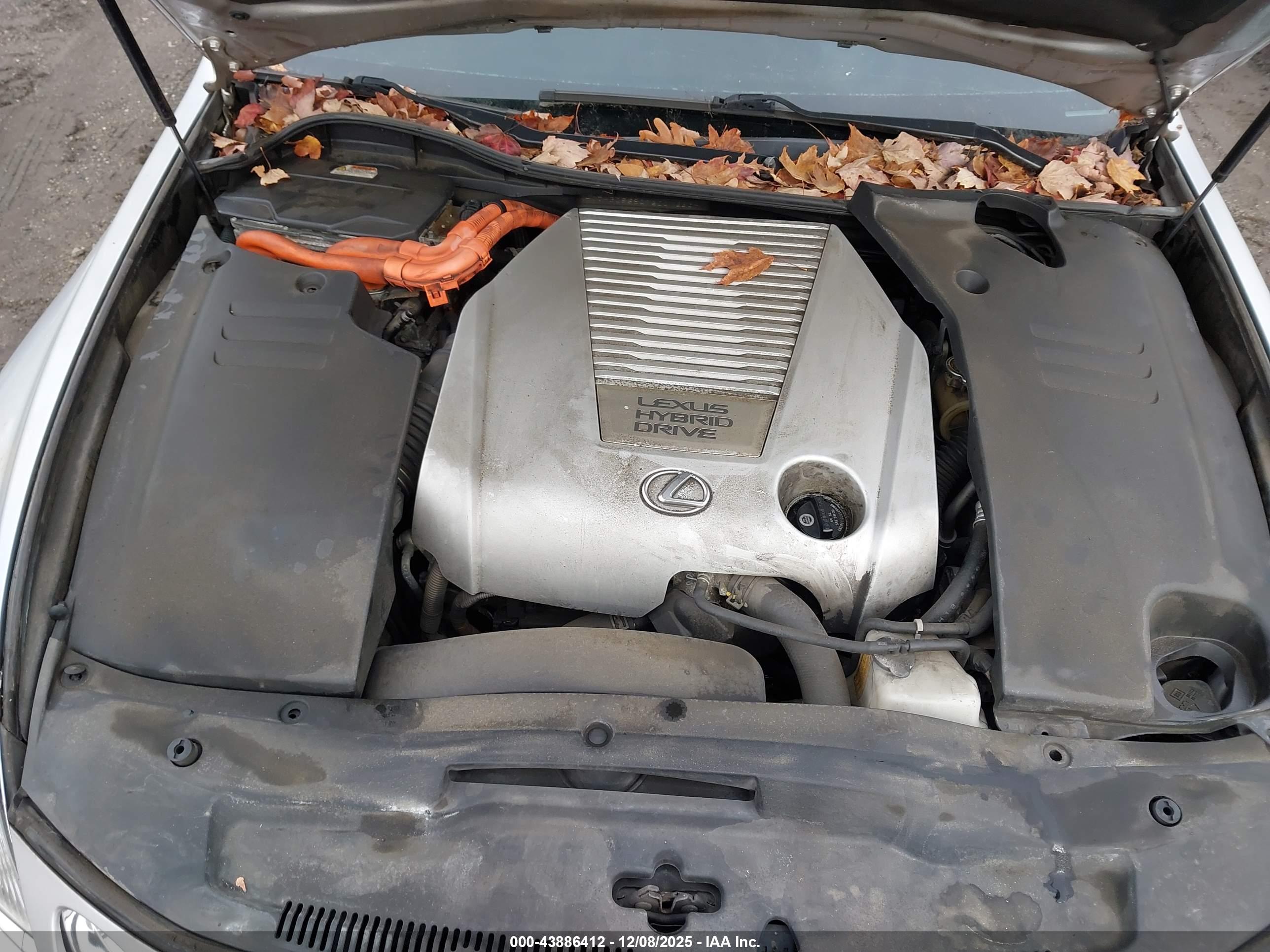 LEXUS GS image 10