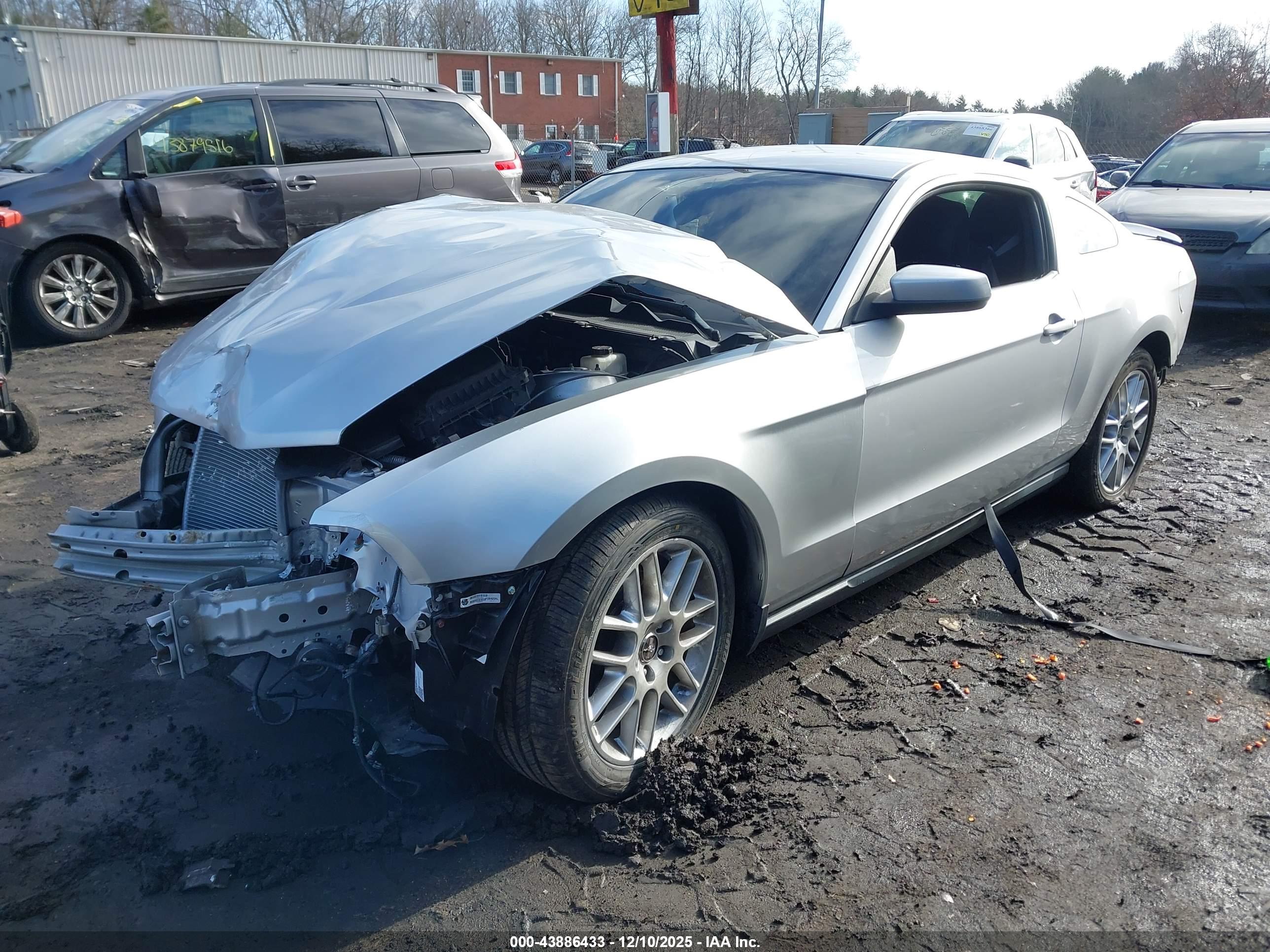FORD MUSTANG image 2
