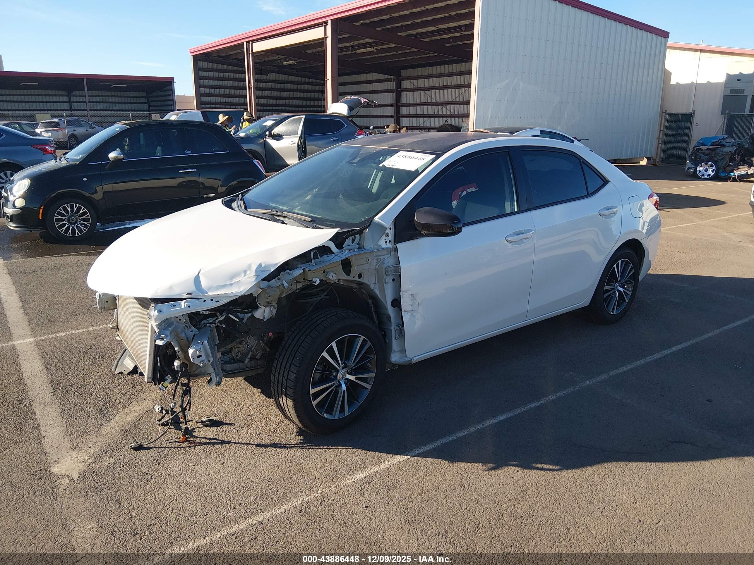 TOYOTA COROLLA image 2