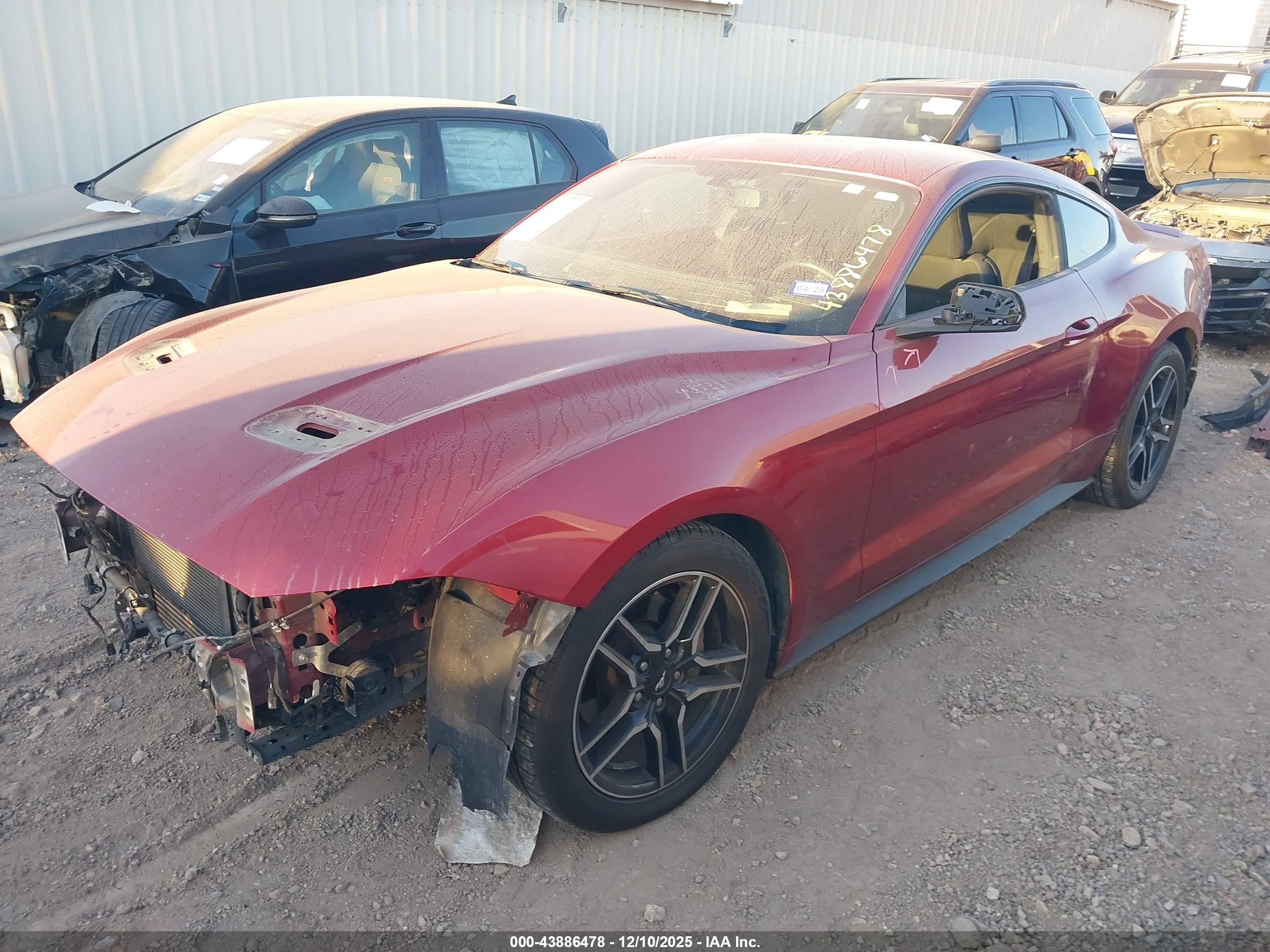 FORD MUSTANG image 2