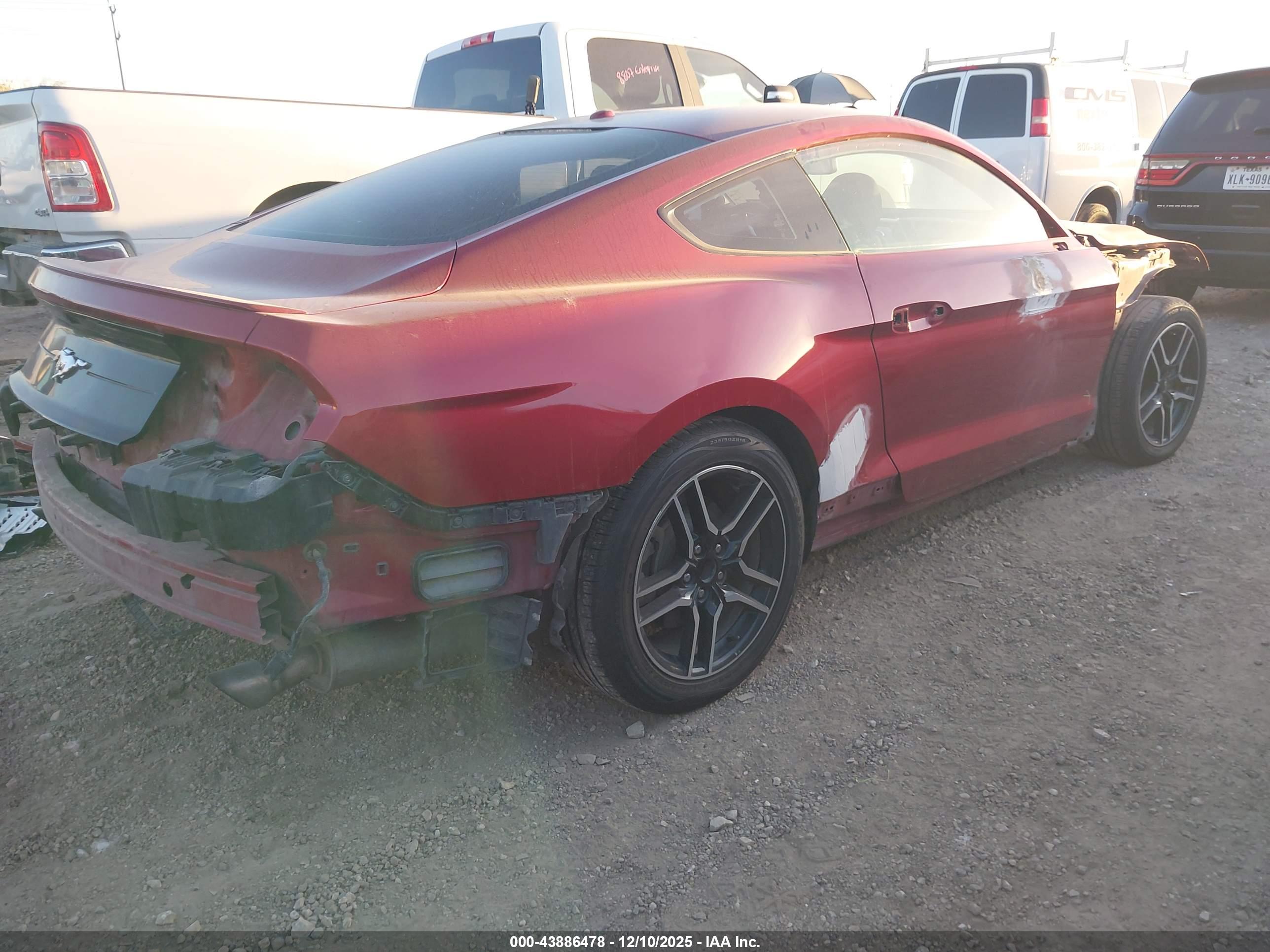 FORD MUSTANG image 4