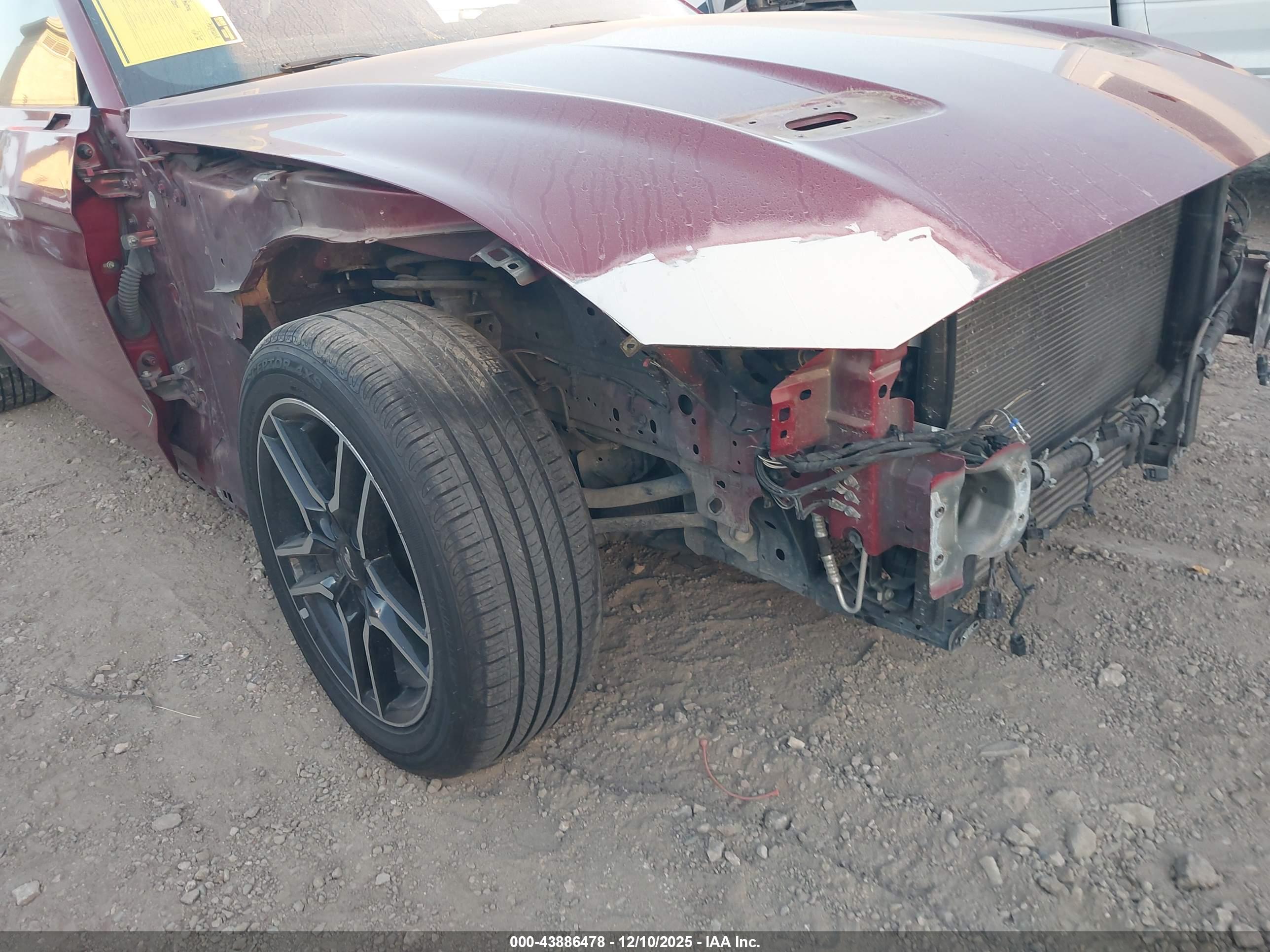 FORD MUSTANG image 6