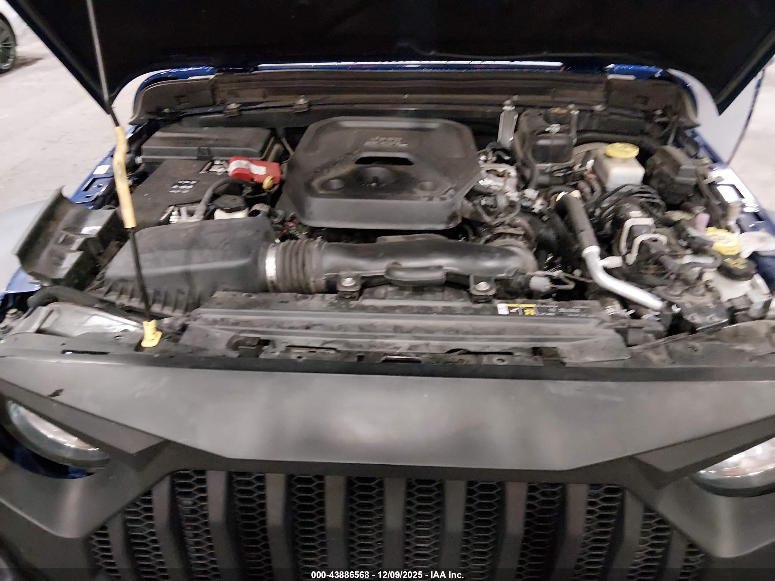 JEEP WRANGLER image 10