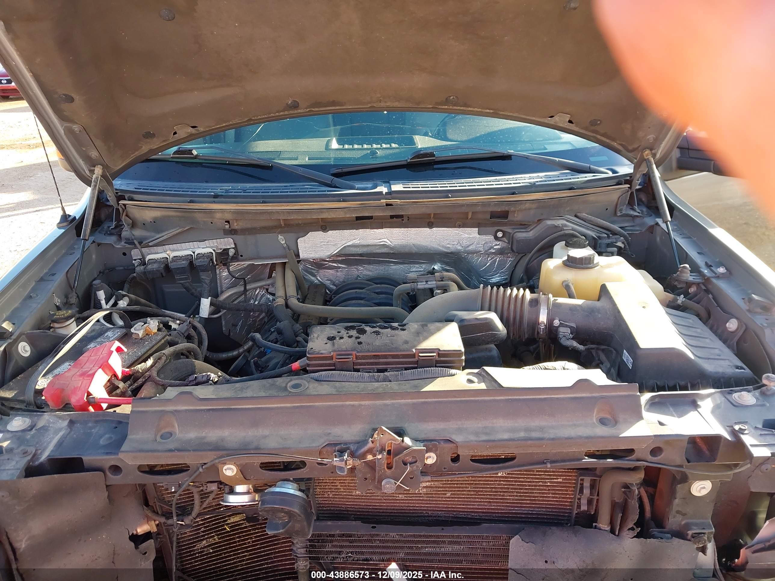 FORD F-150 image 10